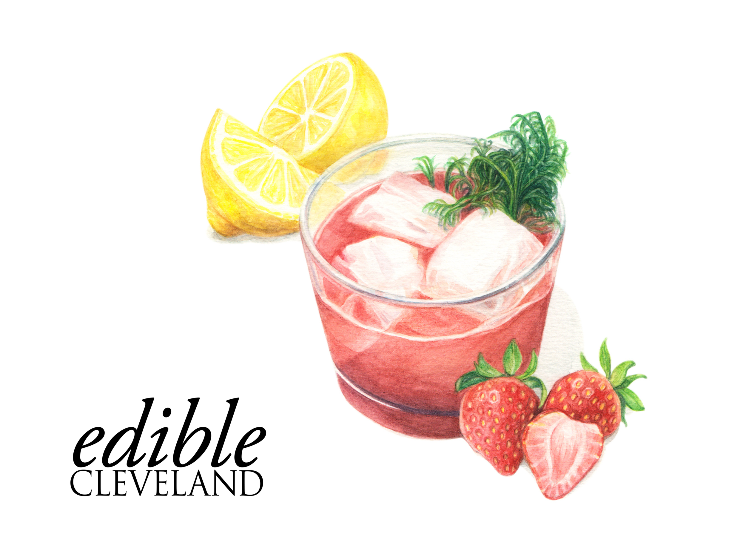 Drink illustration by Sara Zin
