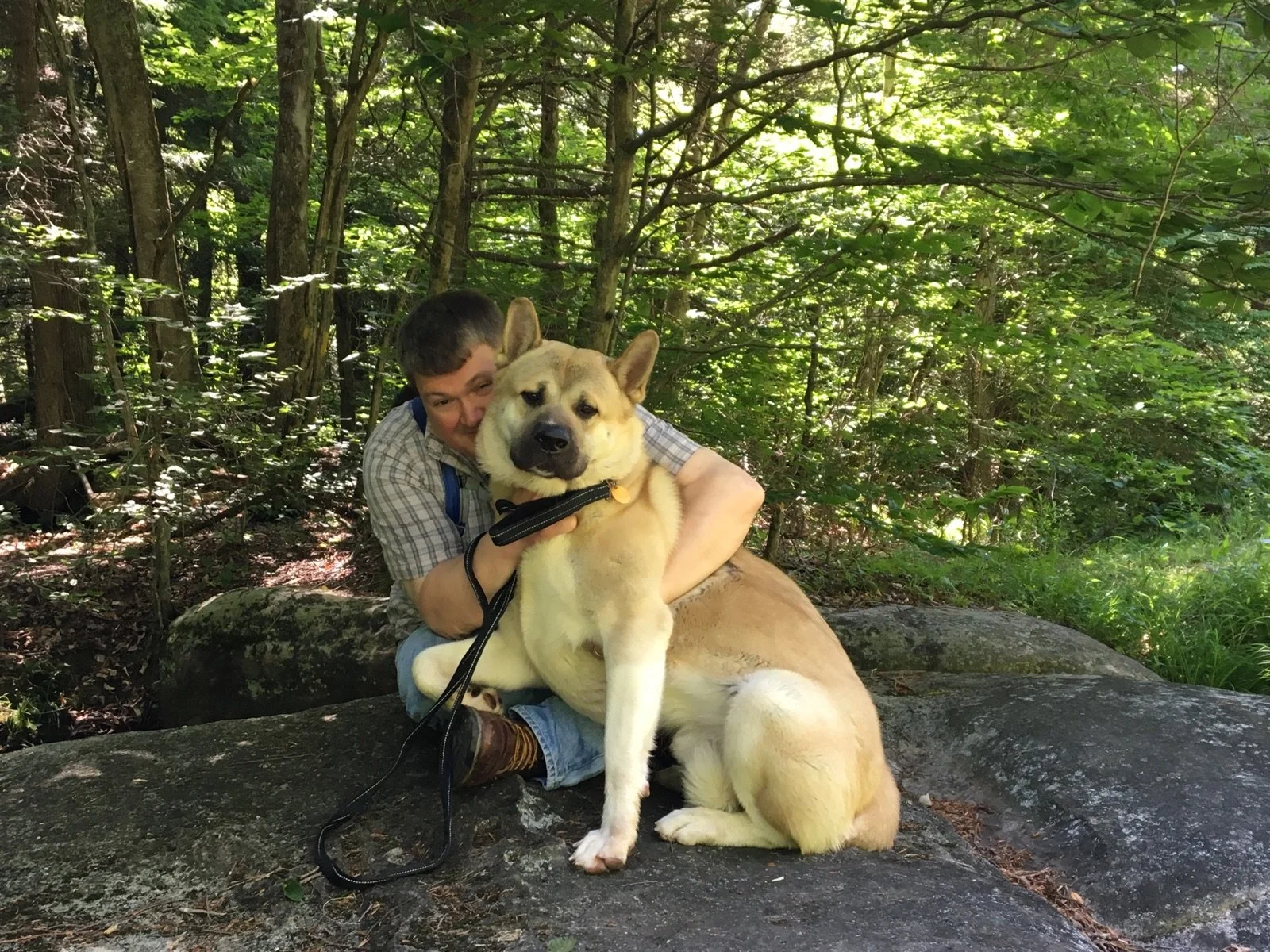 A man with short dark hair, wearing a plaid shirt and jeans, is hugging a large, light-colored dog with a black collar on a rock in a forest. The dog appears to be a Shiba Inu or similar breed, sitting with one paw on the rock and looking directly at the camera. The forest background is lush with green leaves and trees, and sunlight filters through the canopy.