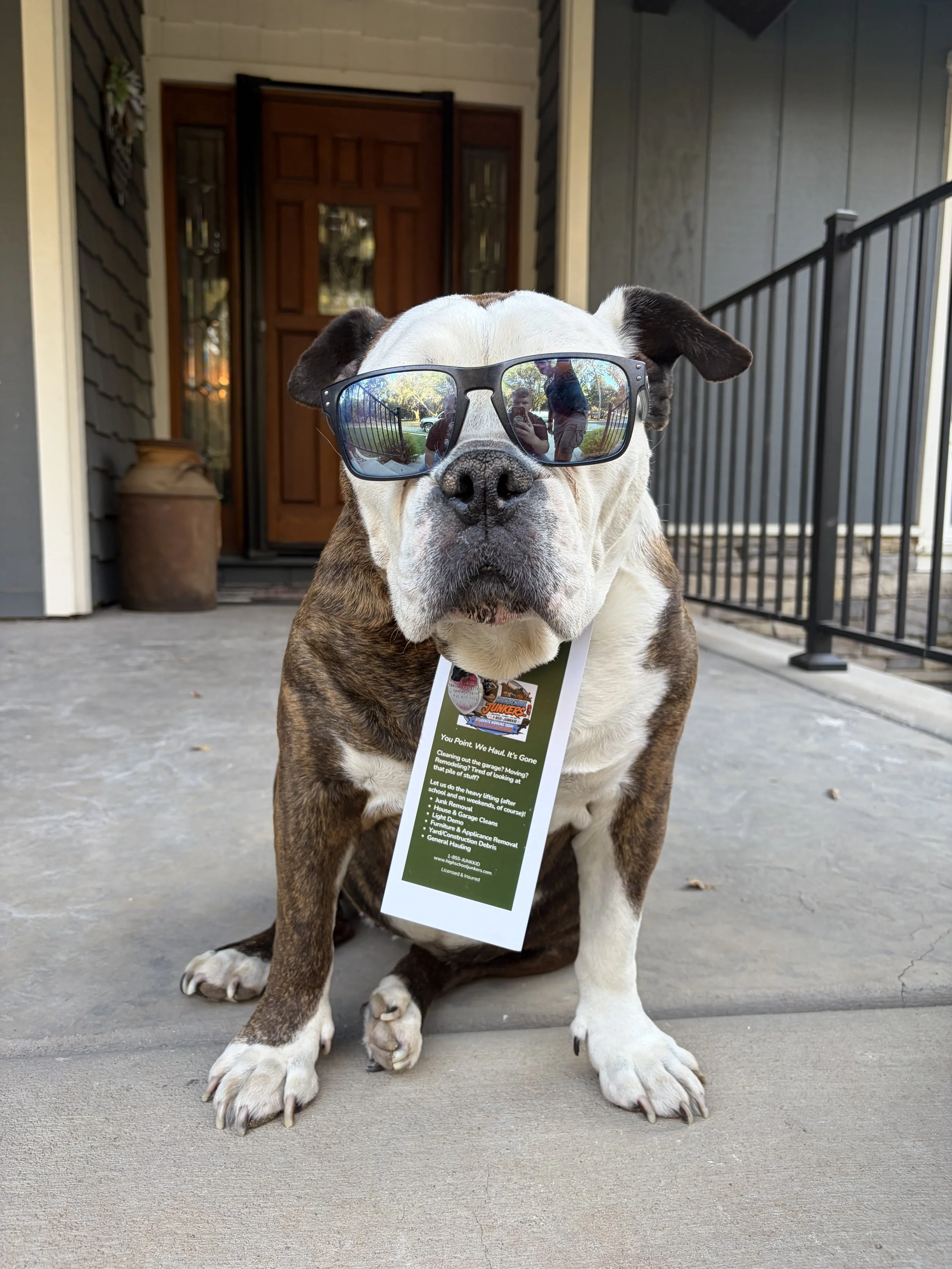 A bulldog wearing sunglasses with a reflection of the person taking the photo, standing on a concrete porch in front of a house with a wooden door and gray siding.