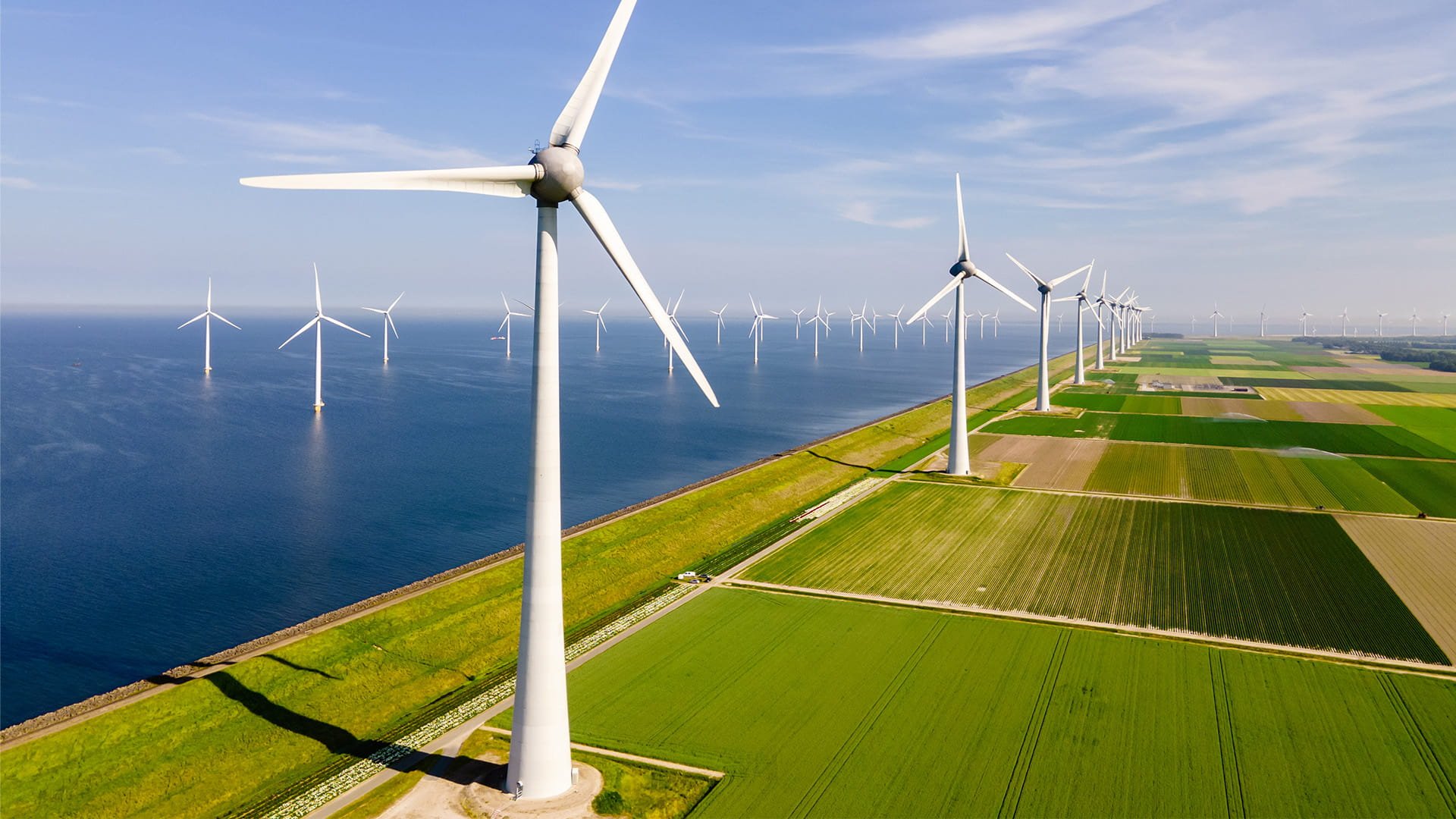 Aerial view of a wind farm with multiple wind turbines along a coastline and agricultural fields.