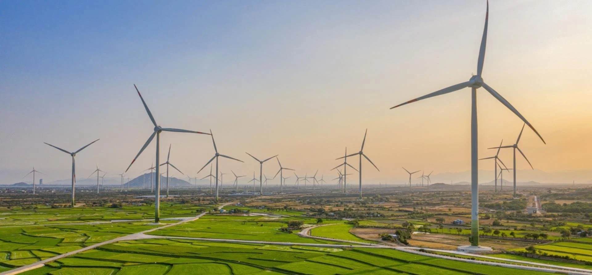 Wind turbines in a green landscape during sunset.