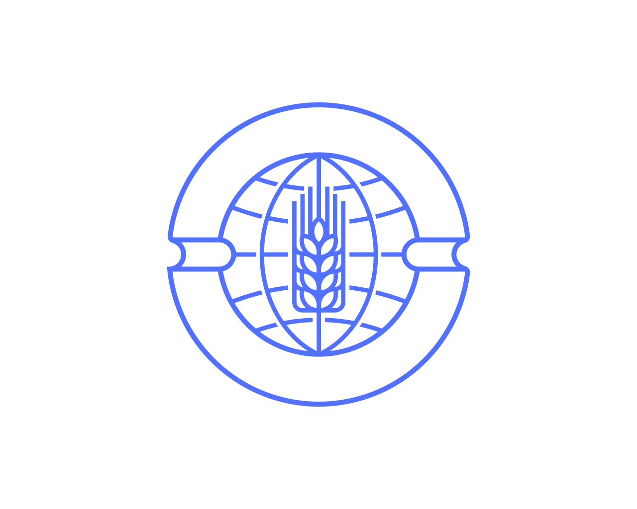 DIRECT GROUP