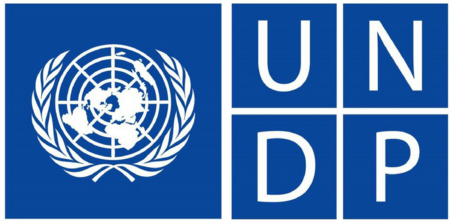 UNDP.webp