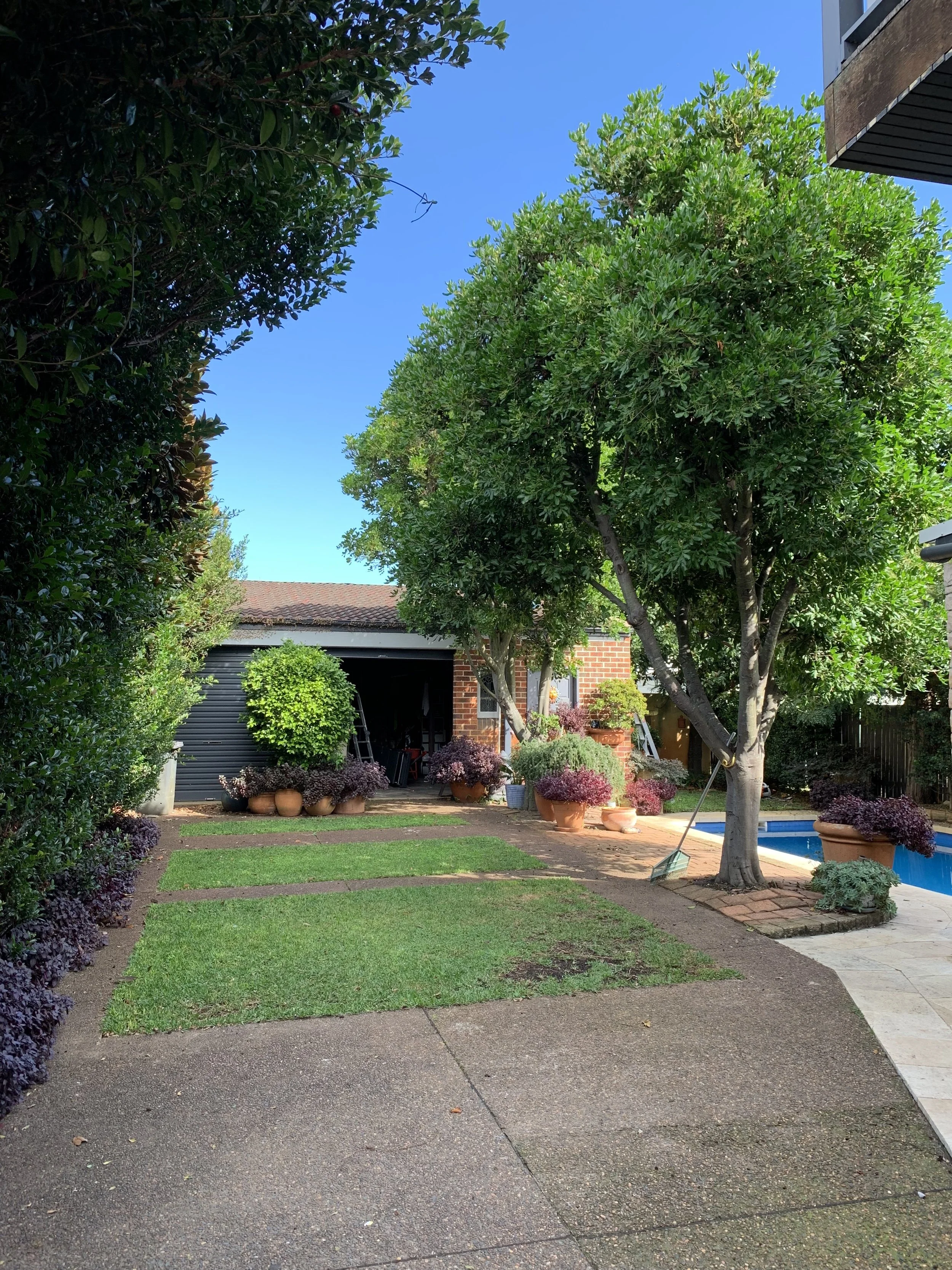 A backyard with a swimming pool, multiple potted plants, trees, a brick house with a garage, and a hedge on the left side.
