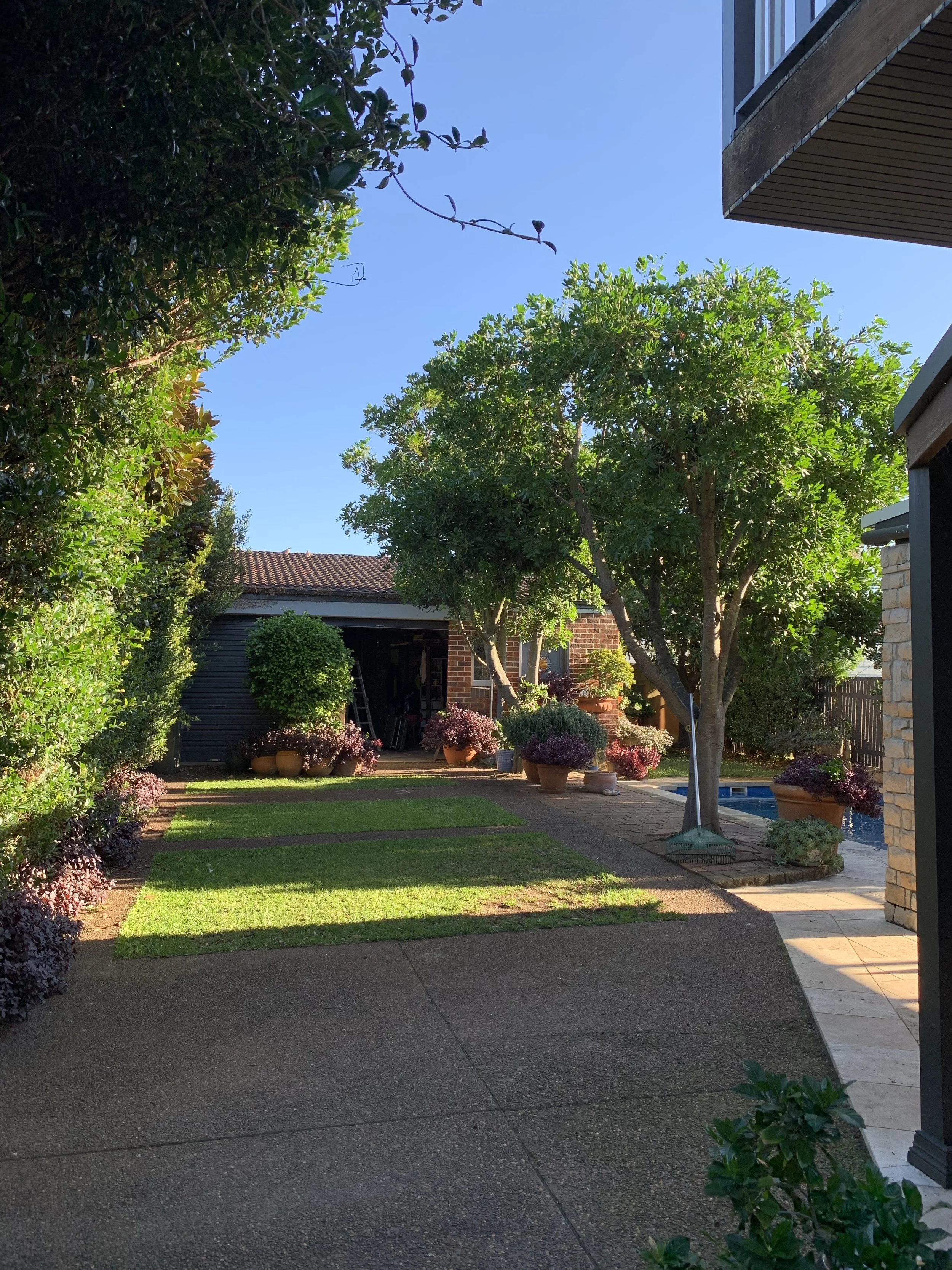 Everyone has different desires for their home space, and managing how their trees functionally and safely fit into that space is essentially what we do.