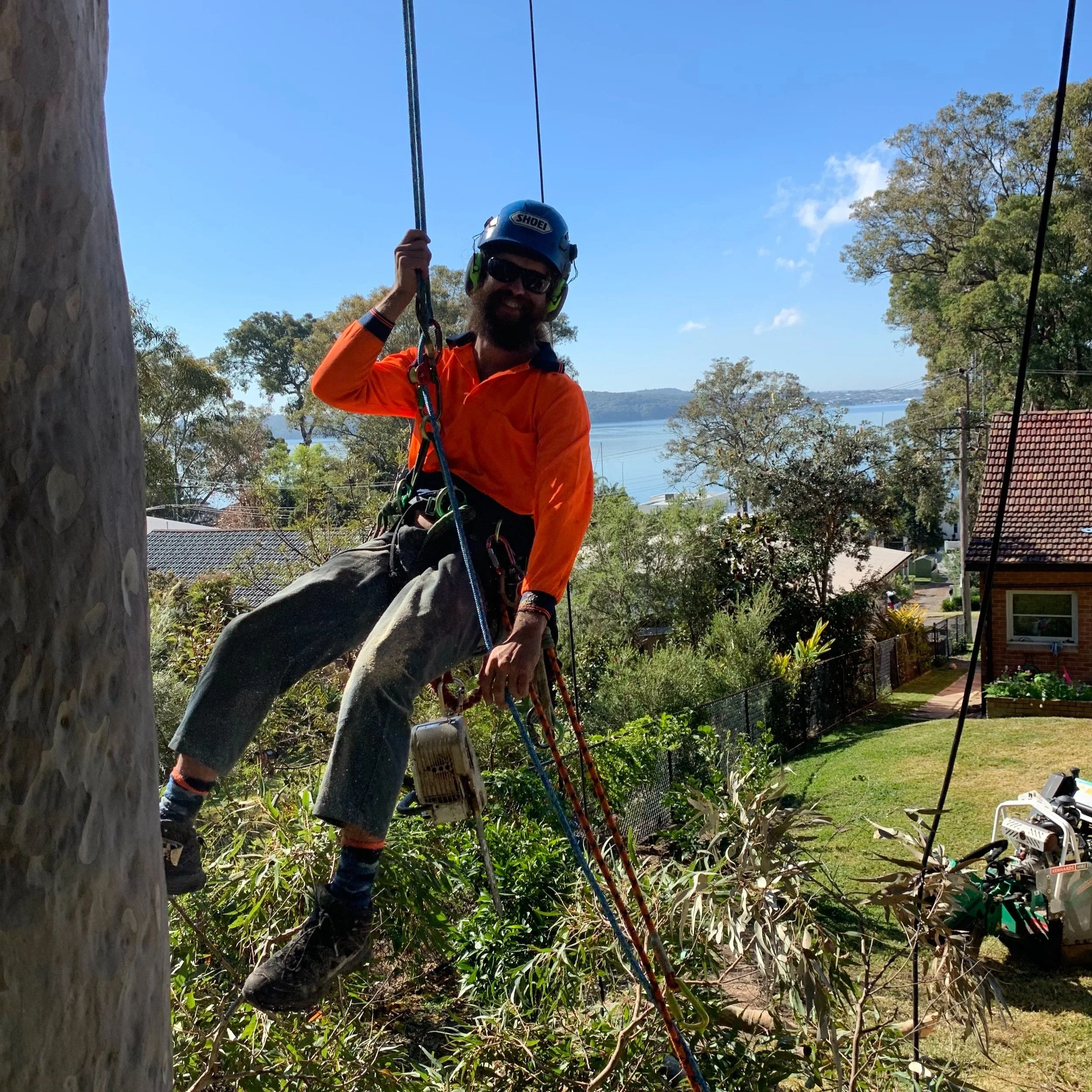 A person wearing an orange jacket, black pants, a black helmet with a Shoei logo, and sunglasses is climbing a tree using ropes and harnesses. The background shows a clear blue sky, trees, rooftops, and a body of water.