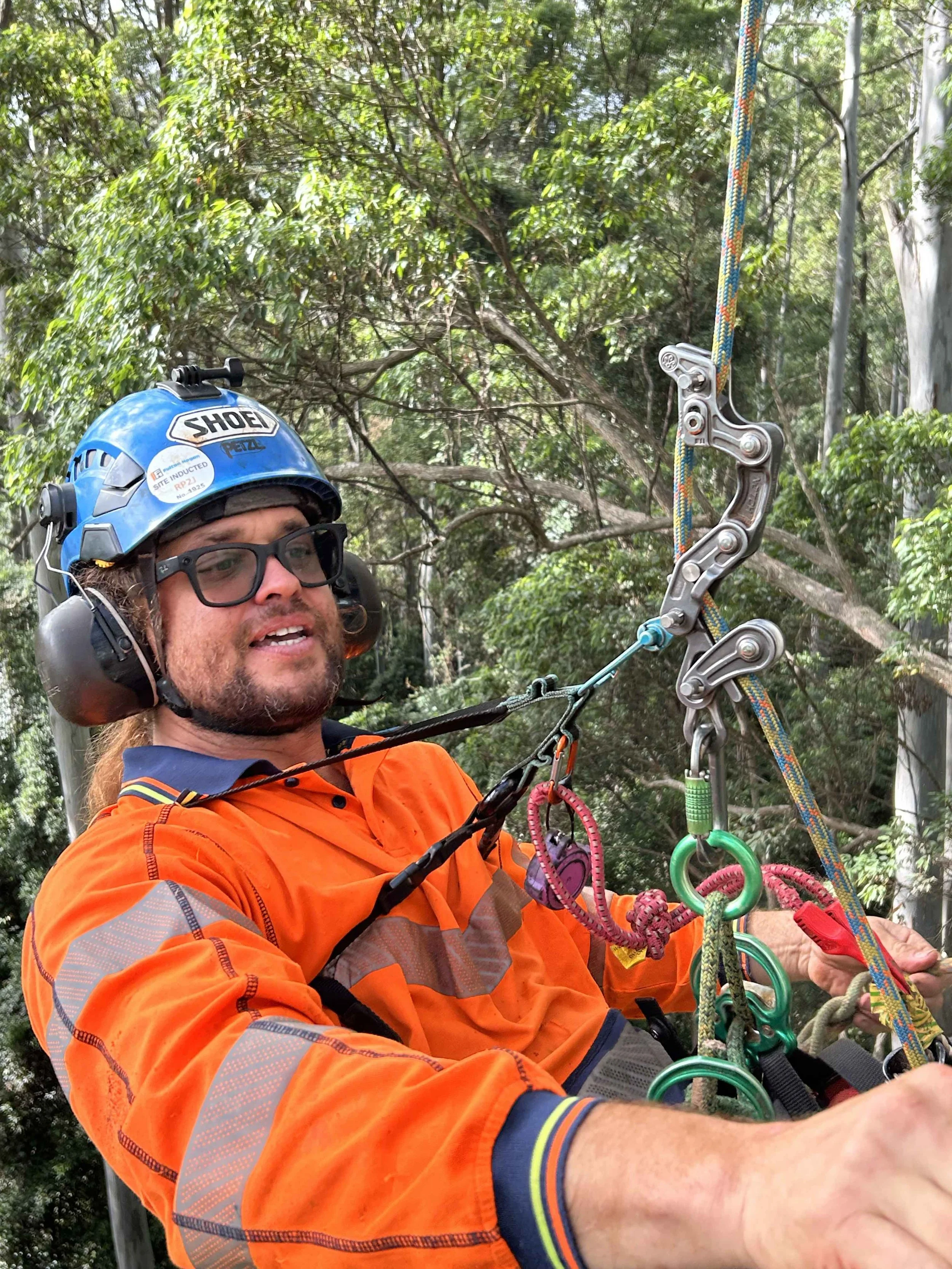 Pacific Palms Habitat Augmentation