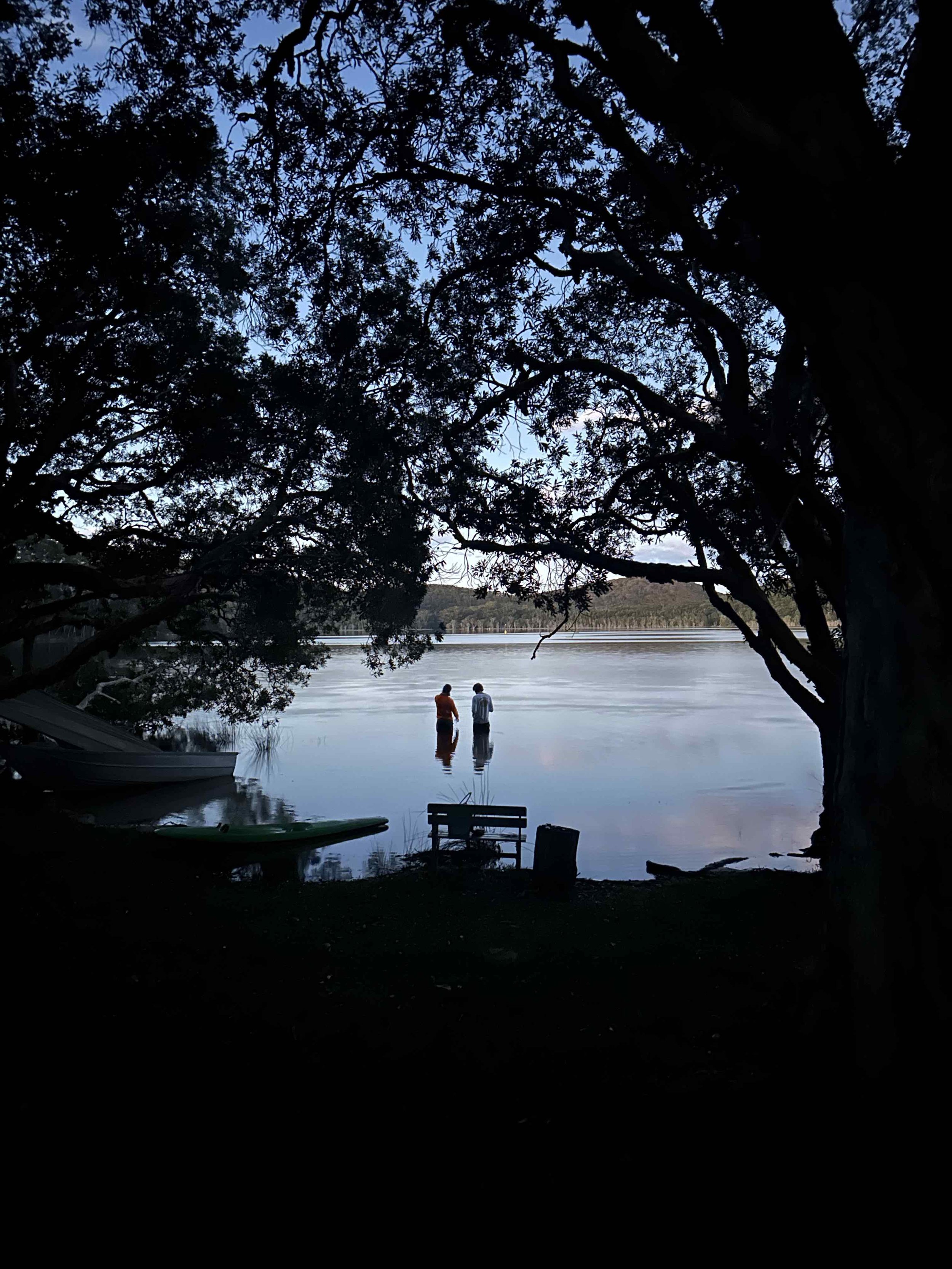 Smiths Lake Augmented Habitat Project 