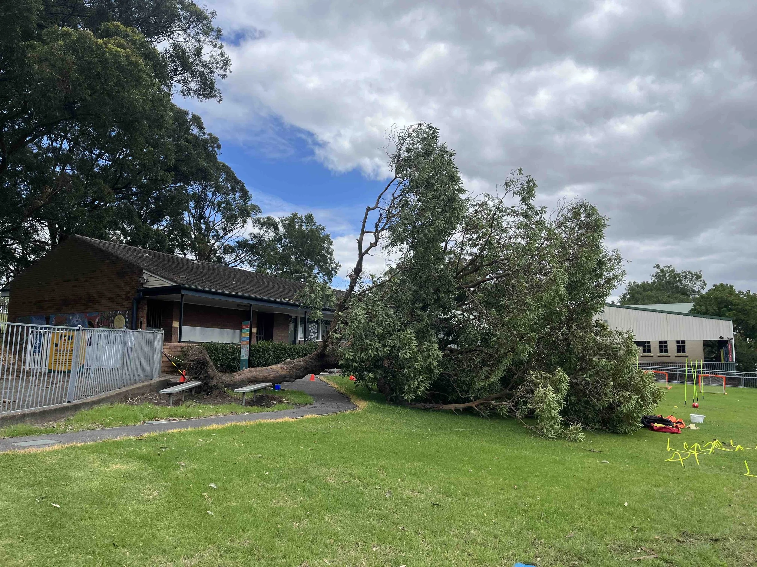 A large tree has fallen on a building and playground area, with debris scattered on the grass. The sky is partly cloudy, and there are safety cones and equipment on the grassy area.