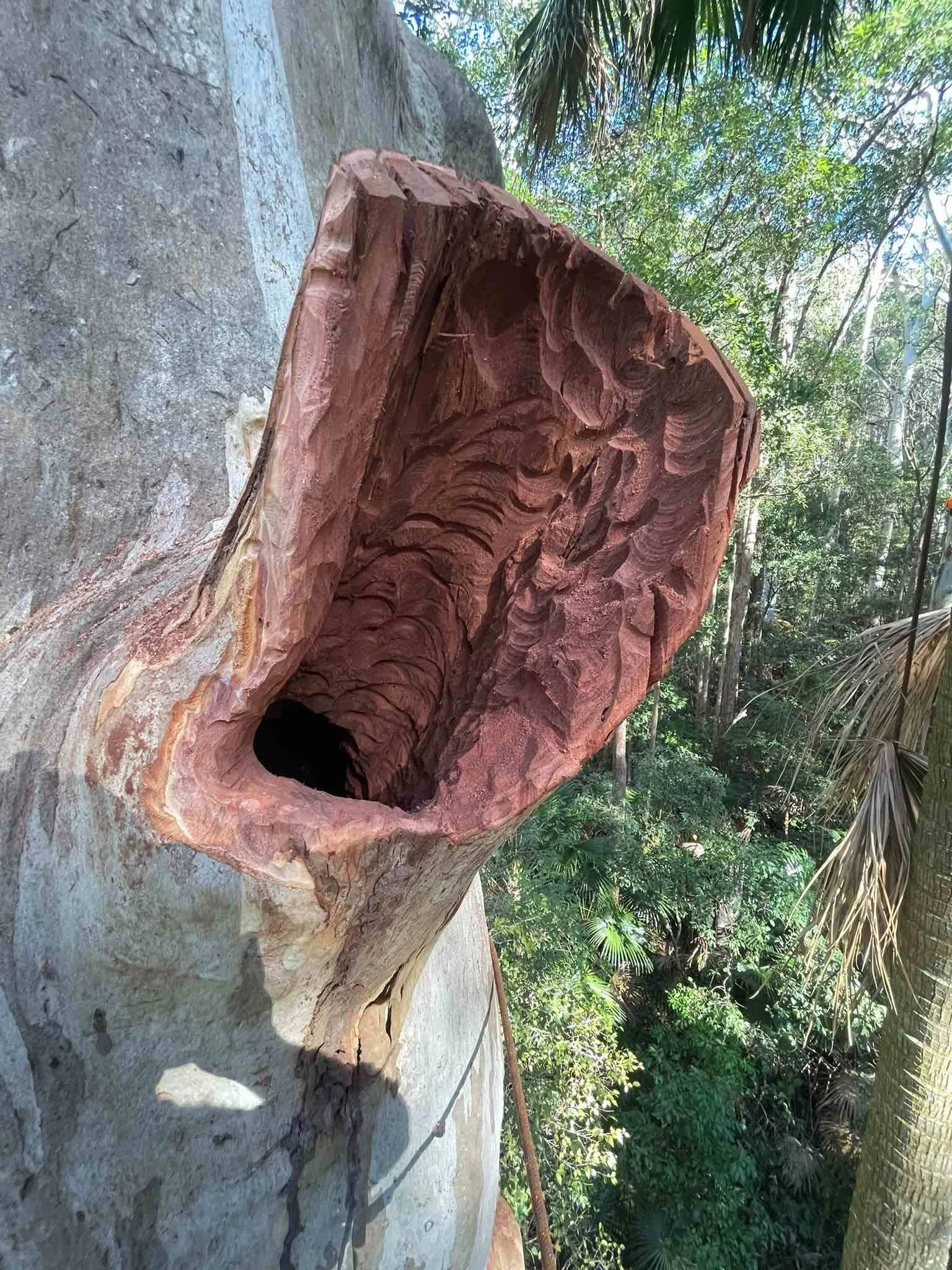 A large red rock formation with a hollowed-out interior, surrounded by green trees and vegetation, with a concrete pathway or platform in the foreground.