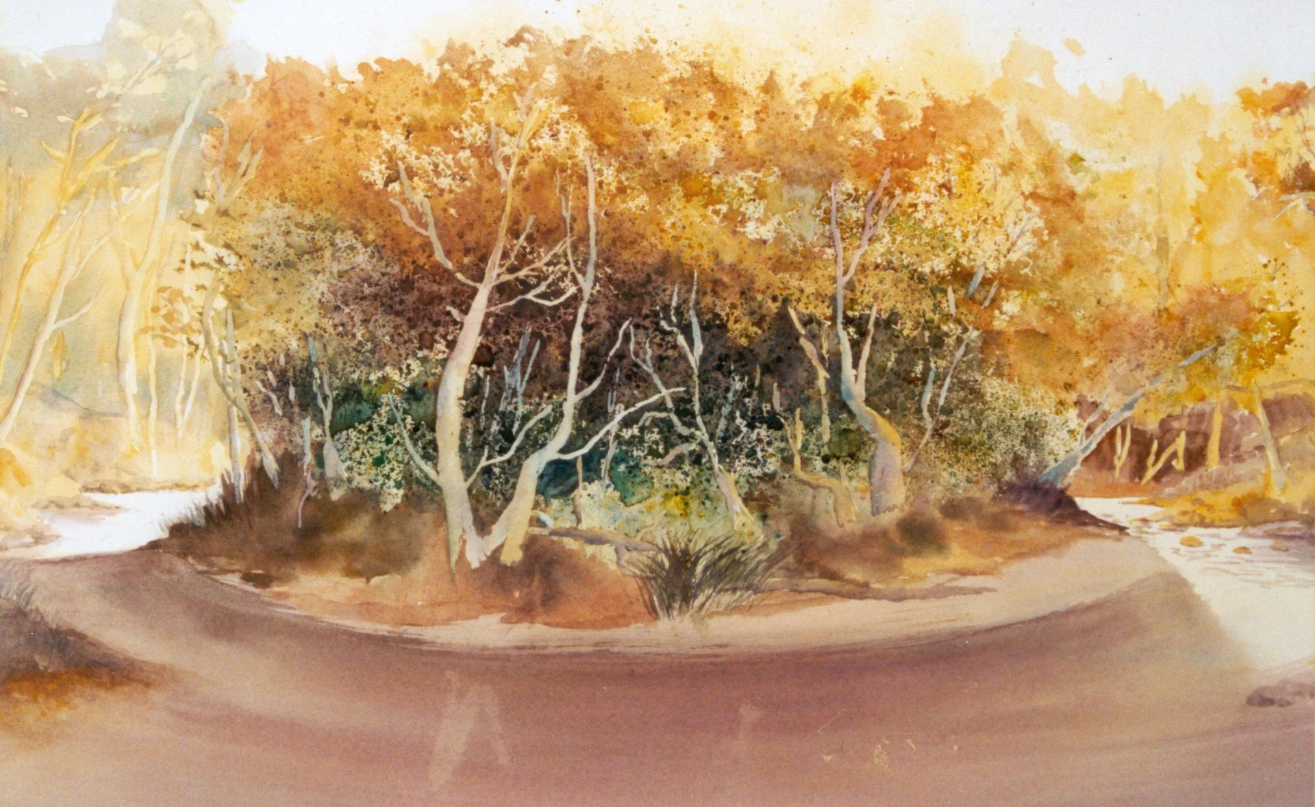 Painting with Watercolour with Julia Hardman