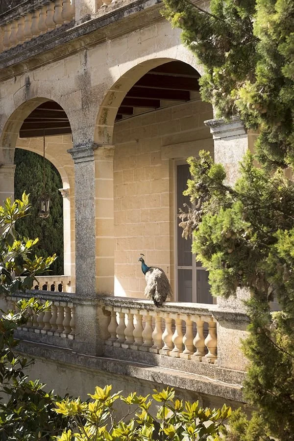 San Anton Palace, Malta.jpg