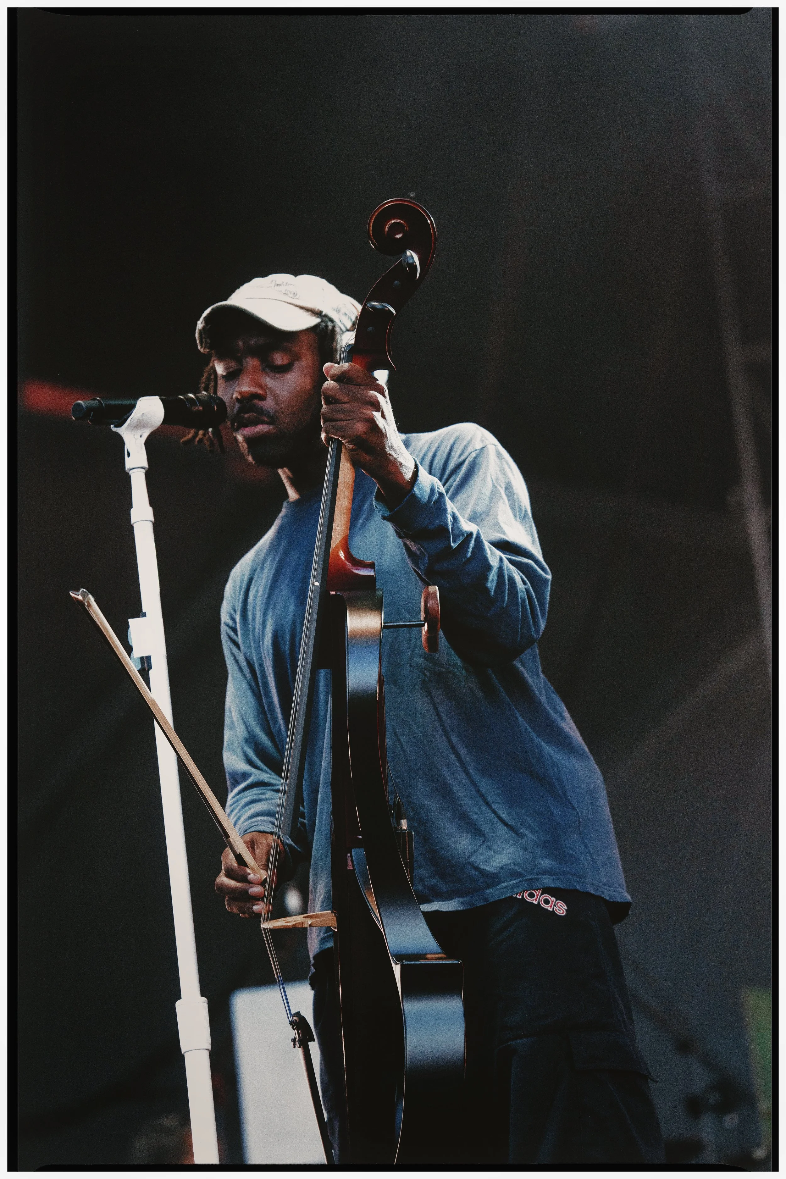 blood orange 3.jpg