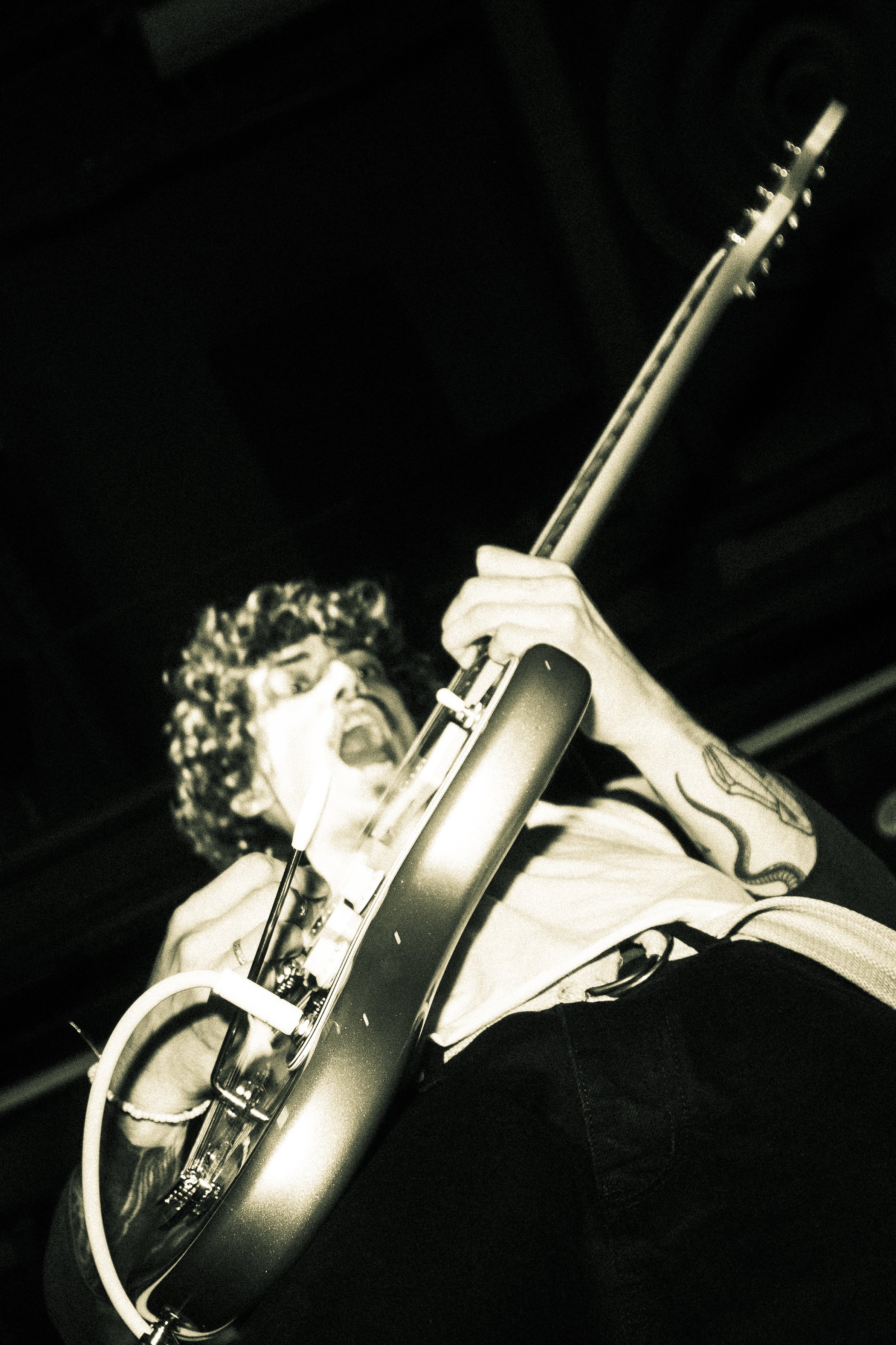 DSC08228.jpg
