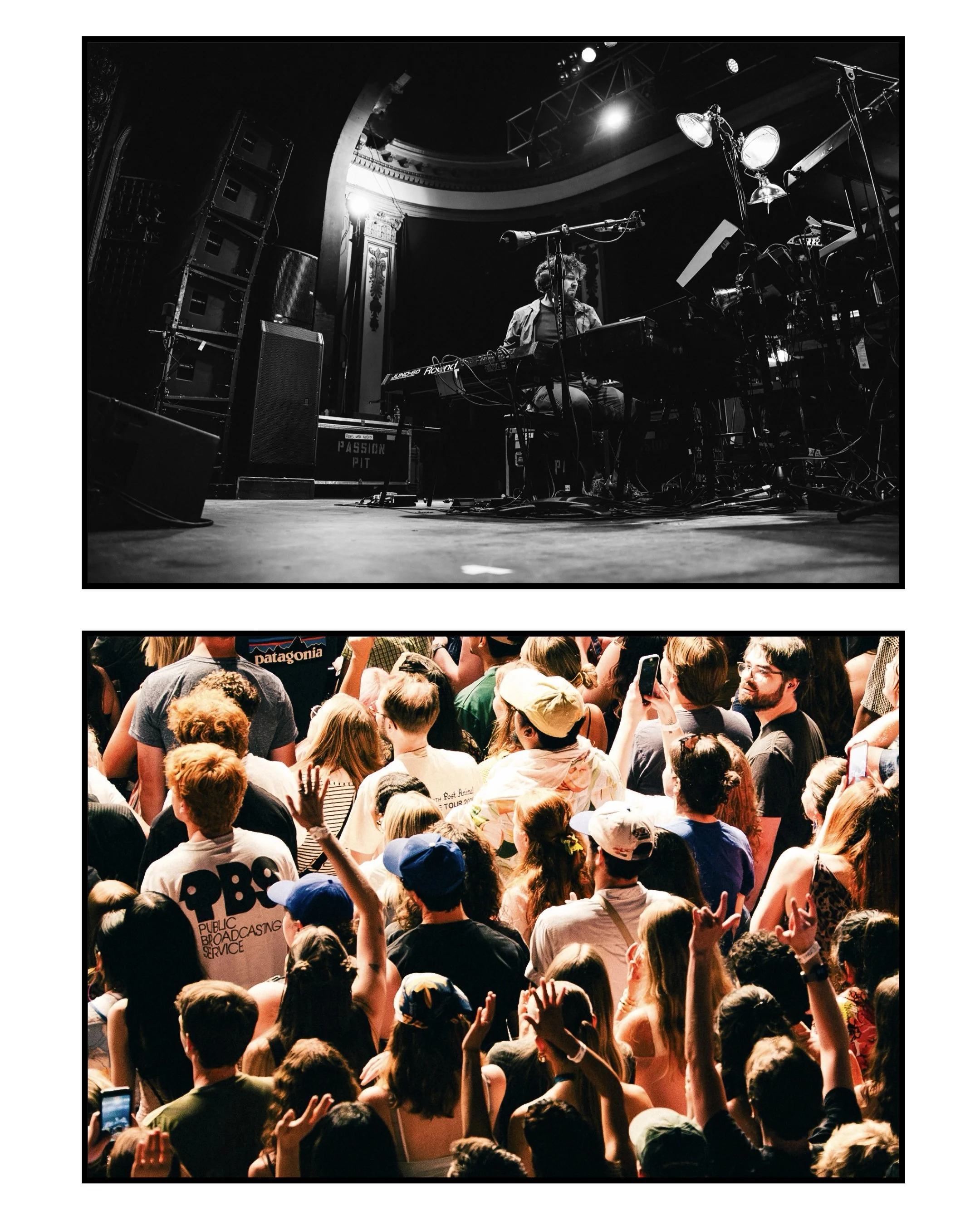 maddieculbsphotos_passionpit101.jpg