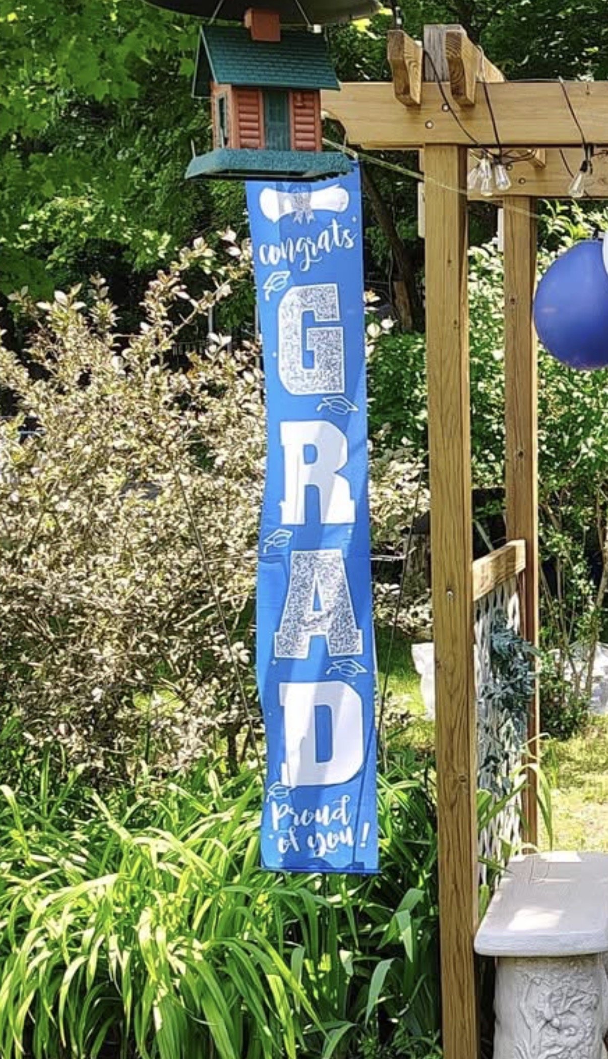 Blue outdoor banner with white and light blue text that reads 'congrats GRAID proud of you!', hanging from a wooden frame amid greenery and flowering bushes.