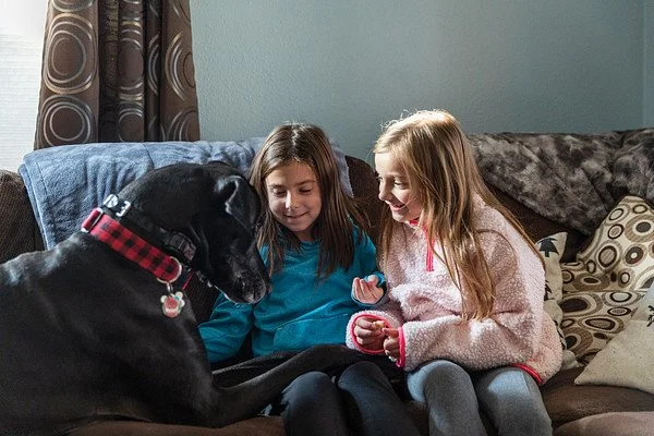 Two young girls sitting on a sofa with a large black dog, possibly a Great Dane, in a living room with curtains and cushion pillows.