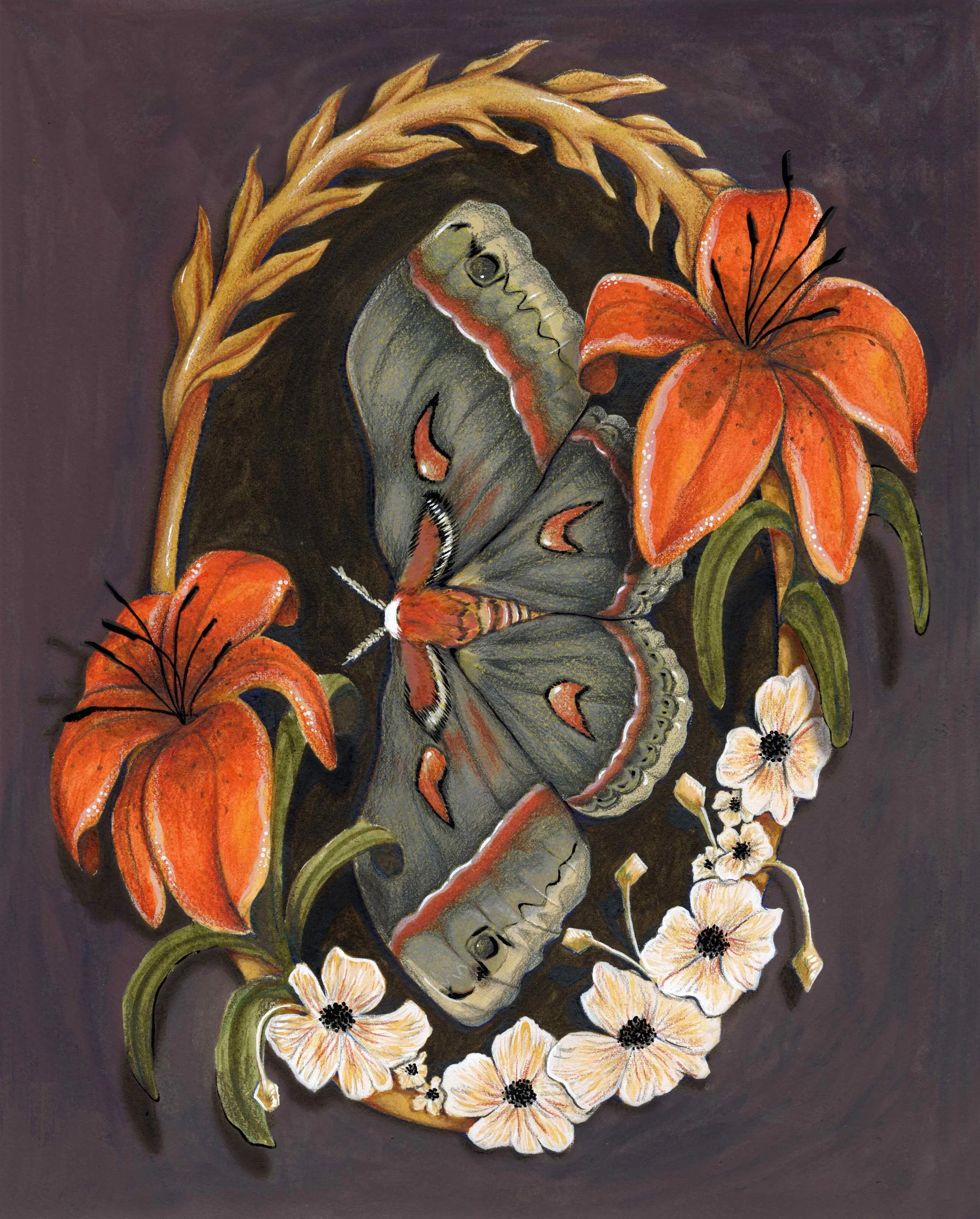 Illustrations