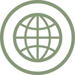 Icon of a globe enclosed in a circle, representing global or worldwide concepts.