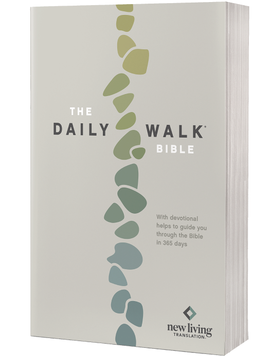 Cover of The Daily Walk Bible with a white background and a vertical row of abstract green and blue stones. Title and subtitle in black and gray text, with a small publisher logo at the bottom.
