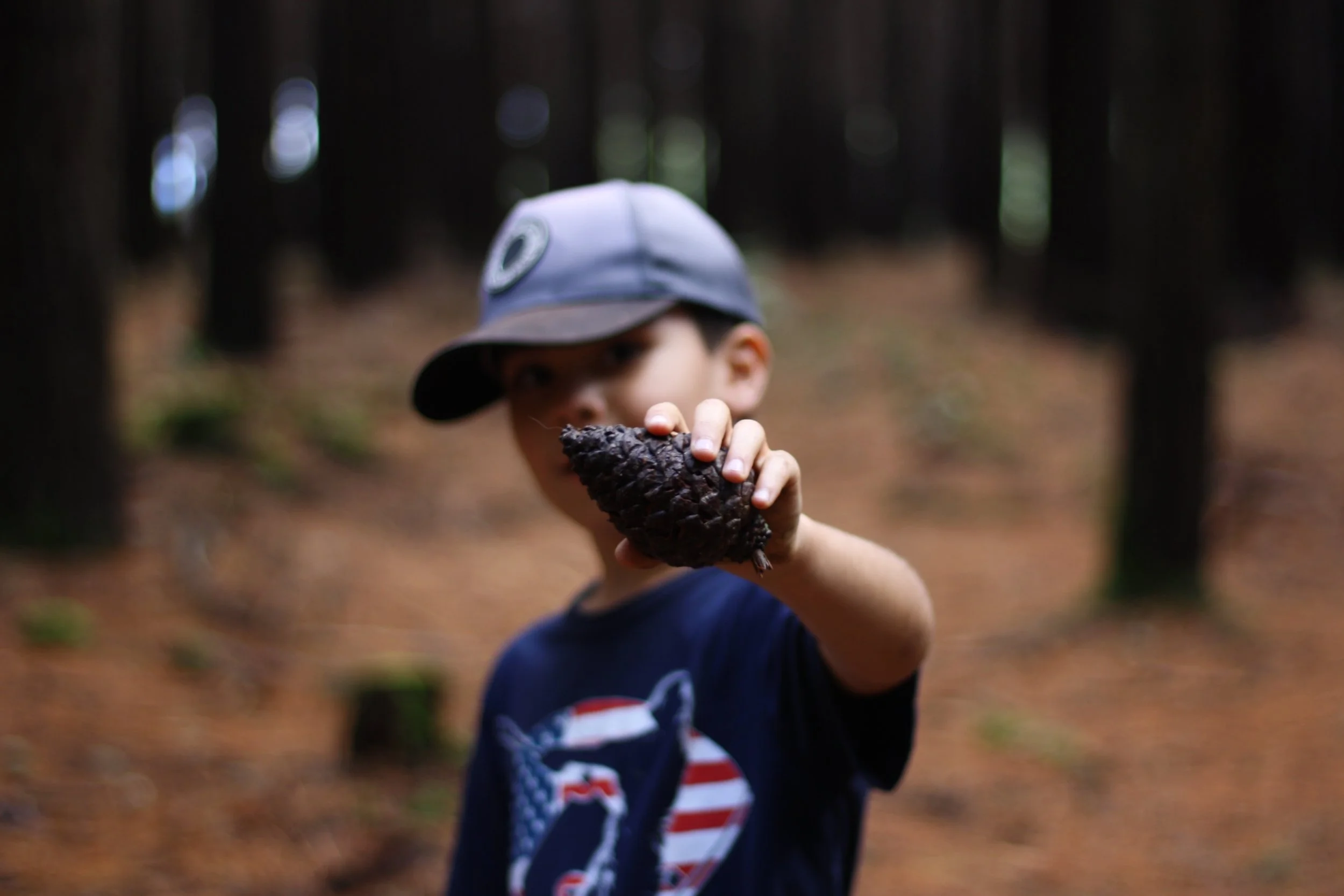 A young boy in a baseball cap and a navy shirt with American flag design, holding a large pine cone toward the camera in a wooded area.