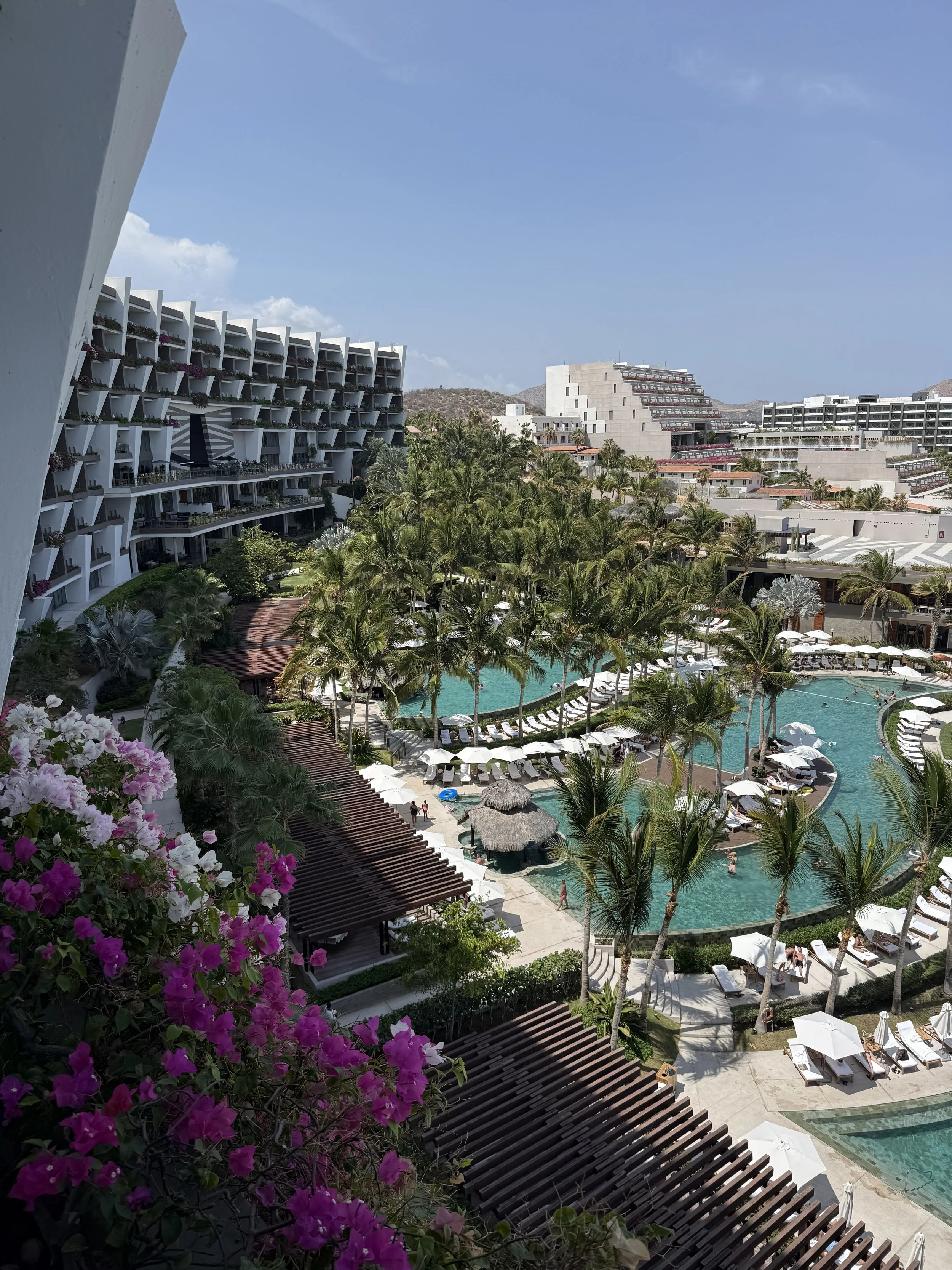 A view of a resort with a large outdoor swimming pool, surrounded by palm trees, sun loungers with umbrellas, and modern white buildings under a blue sky.