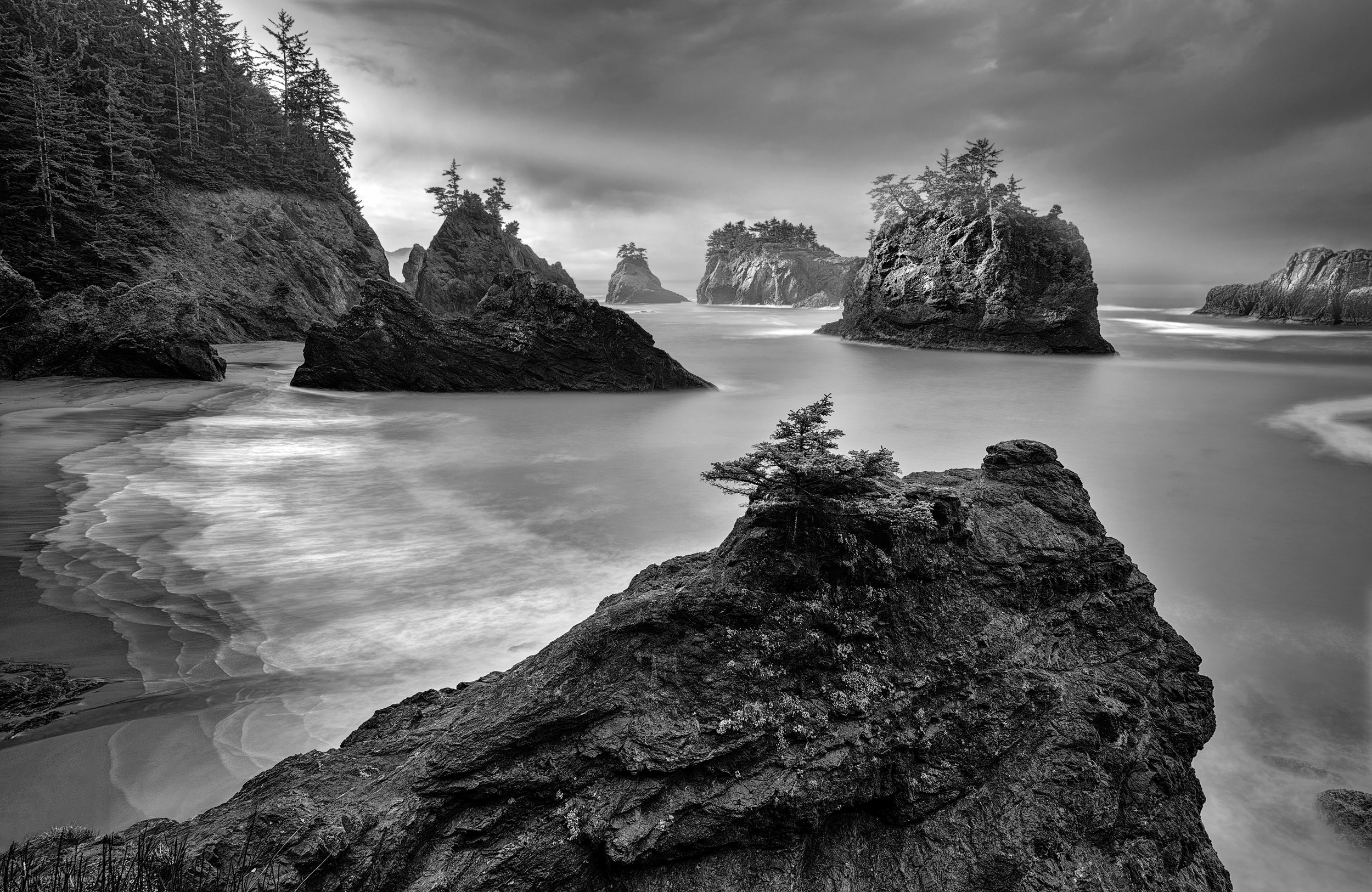 Into the Mist - Samuel H. Boardman State Scenic Corridor - Curry County, OR