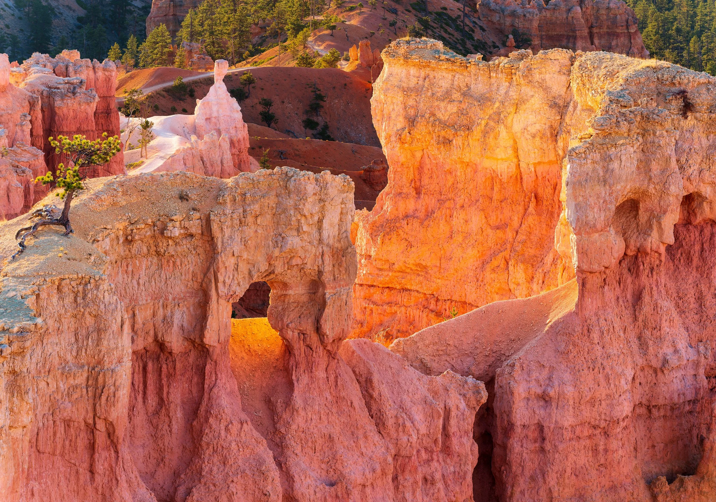Sentinels of the Amphitheater – Bryce, UT