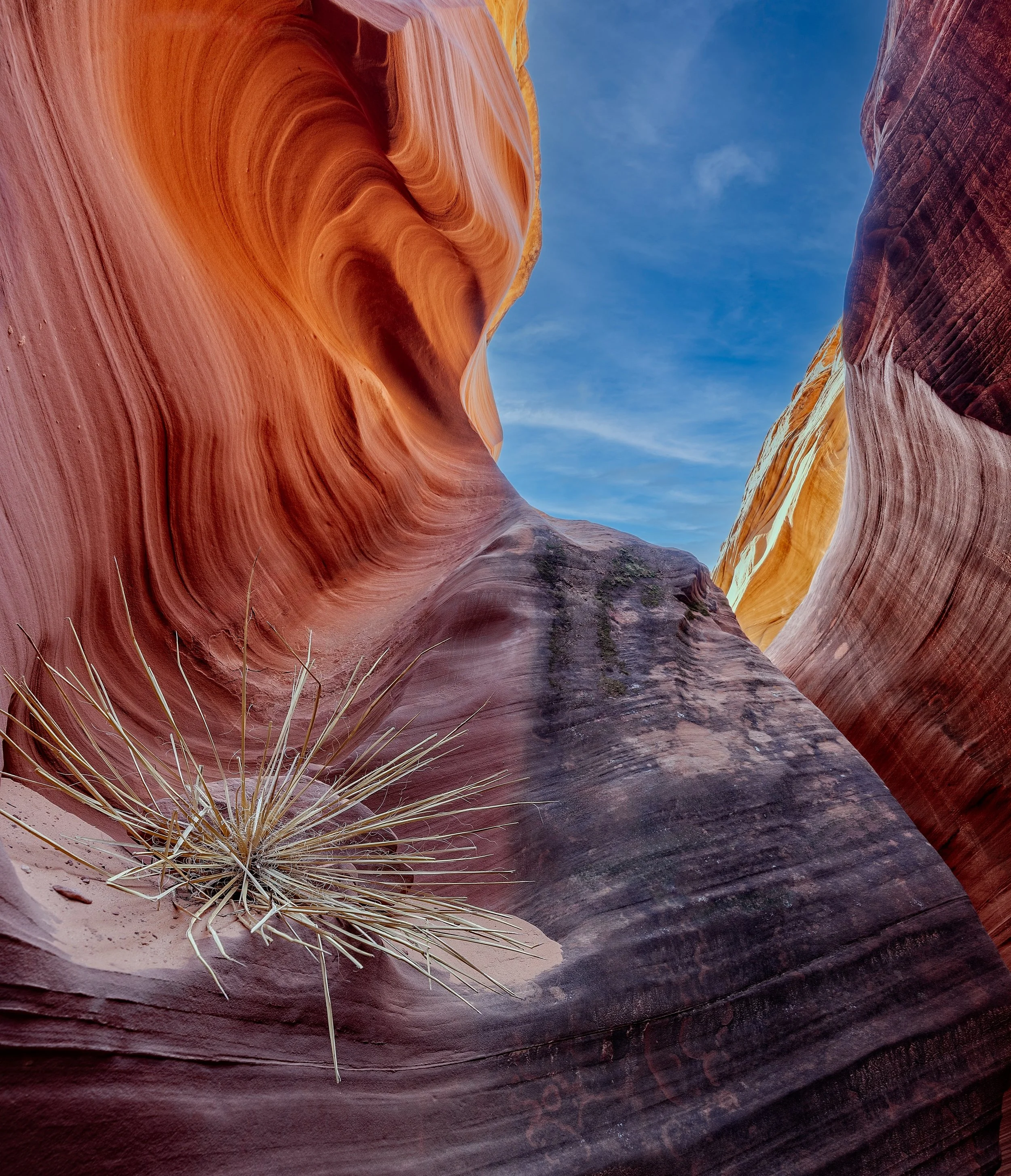 Resilience – Page, AZ
