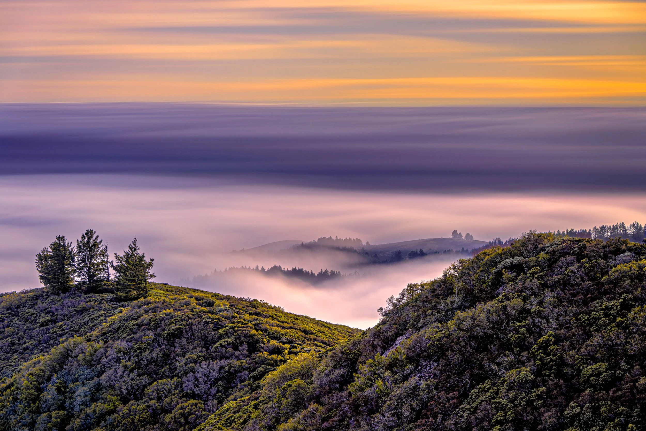 Where Water Meets Light - Mount Tamalpais State Park, California