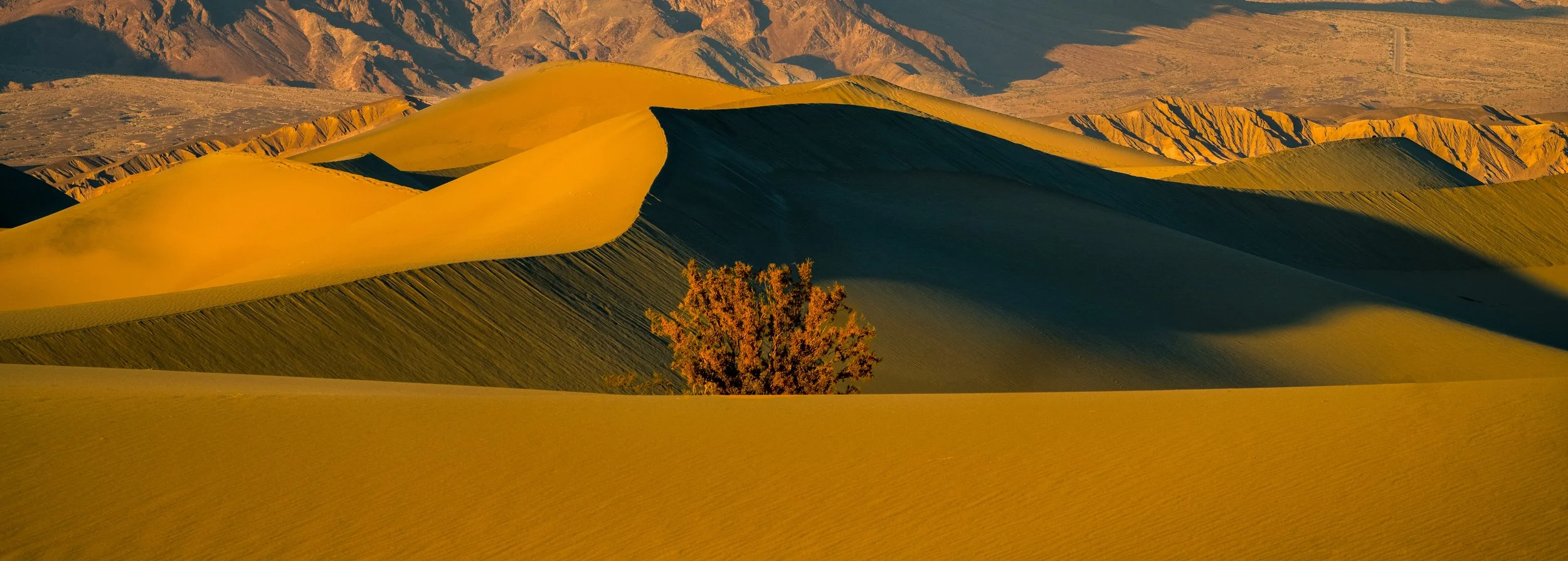 Desert Sublime - Mesquite Flat Sand Dunes – Death Valley National Park, California