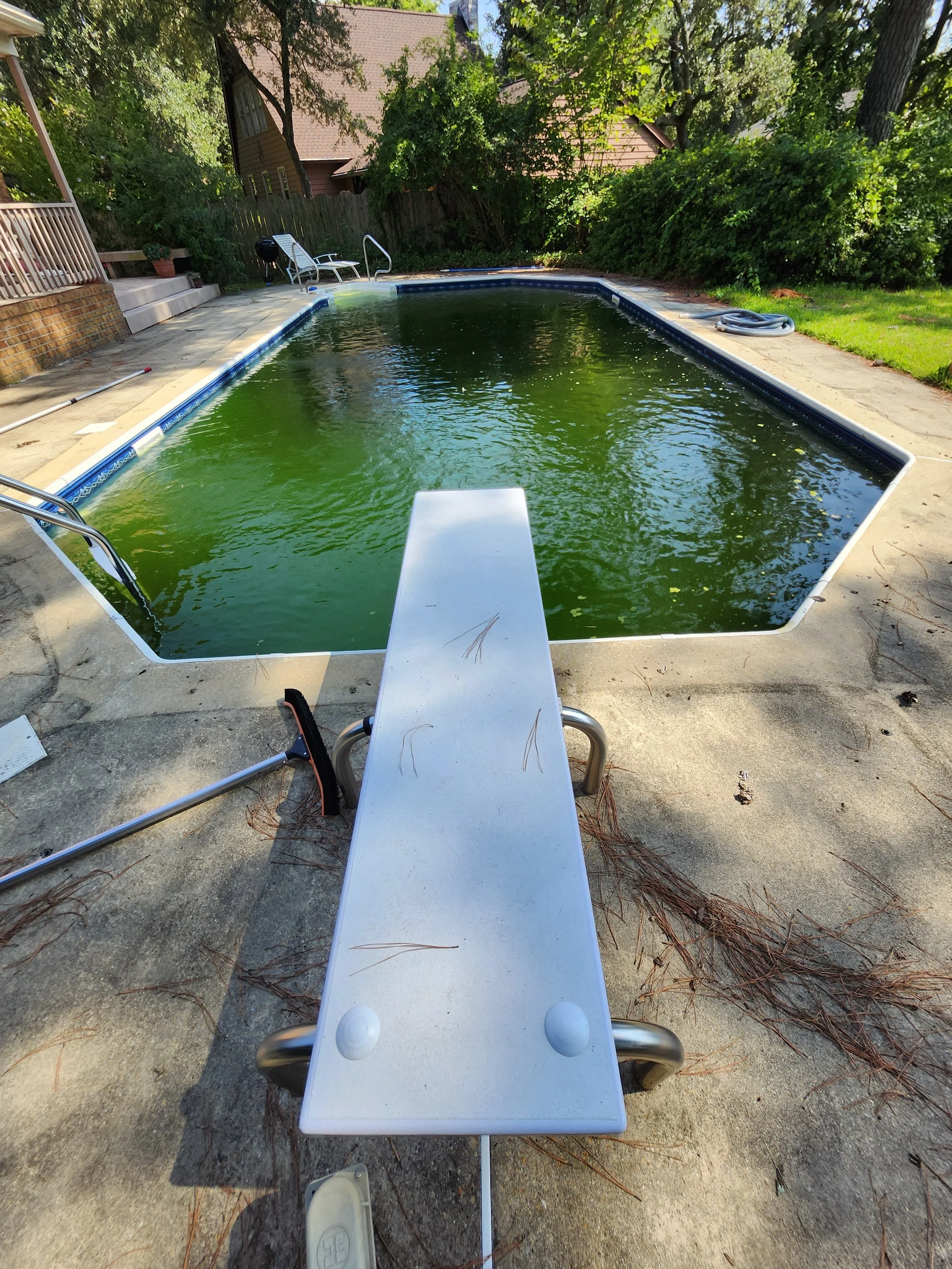 Maybe I wont go diving into this today!
