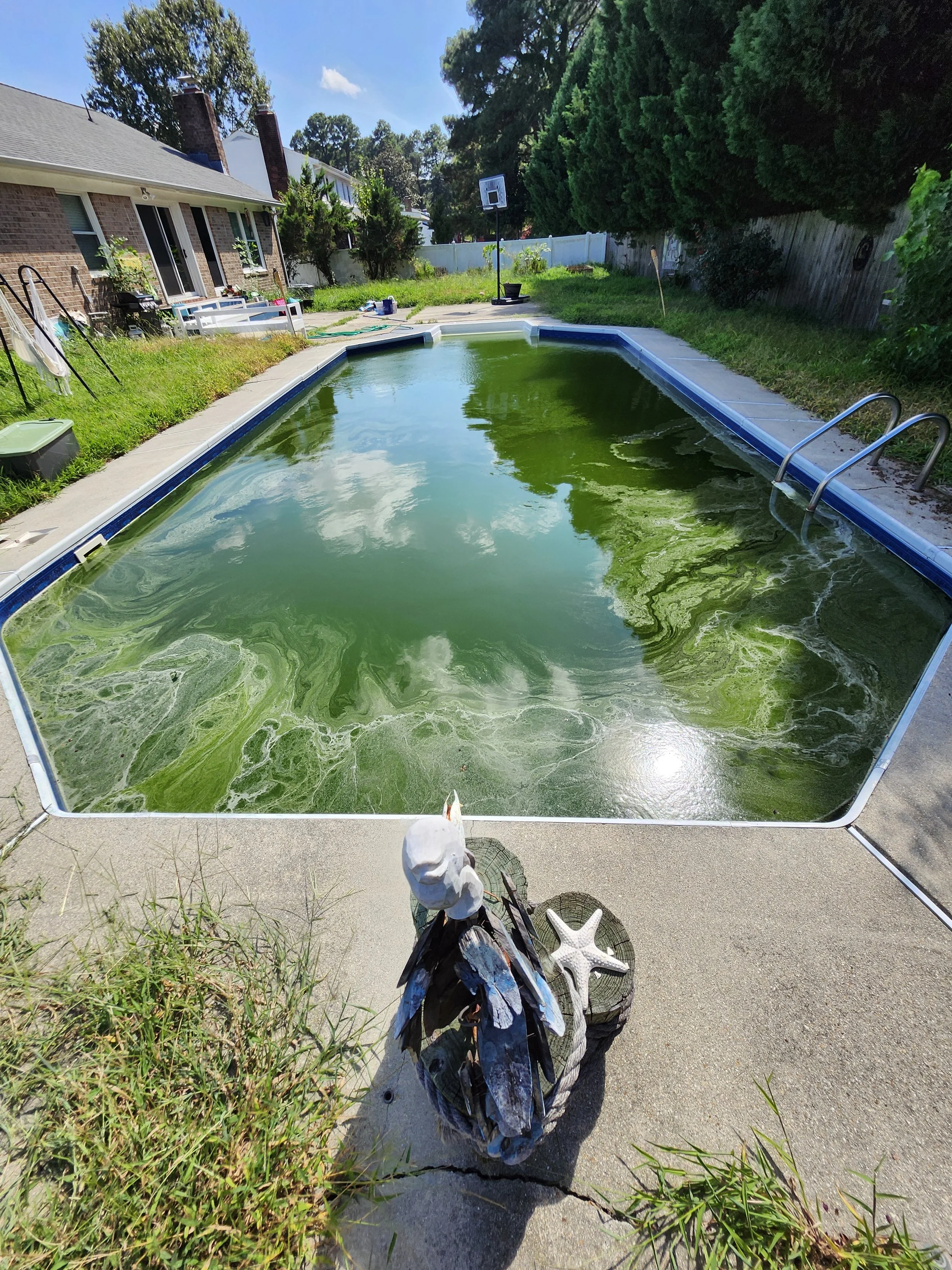Algae does not care to be oxidized!