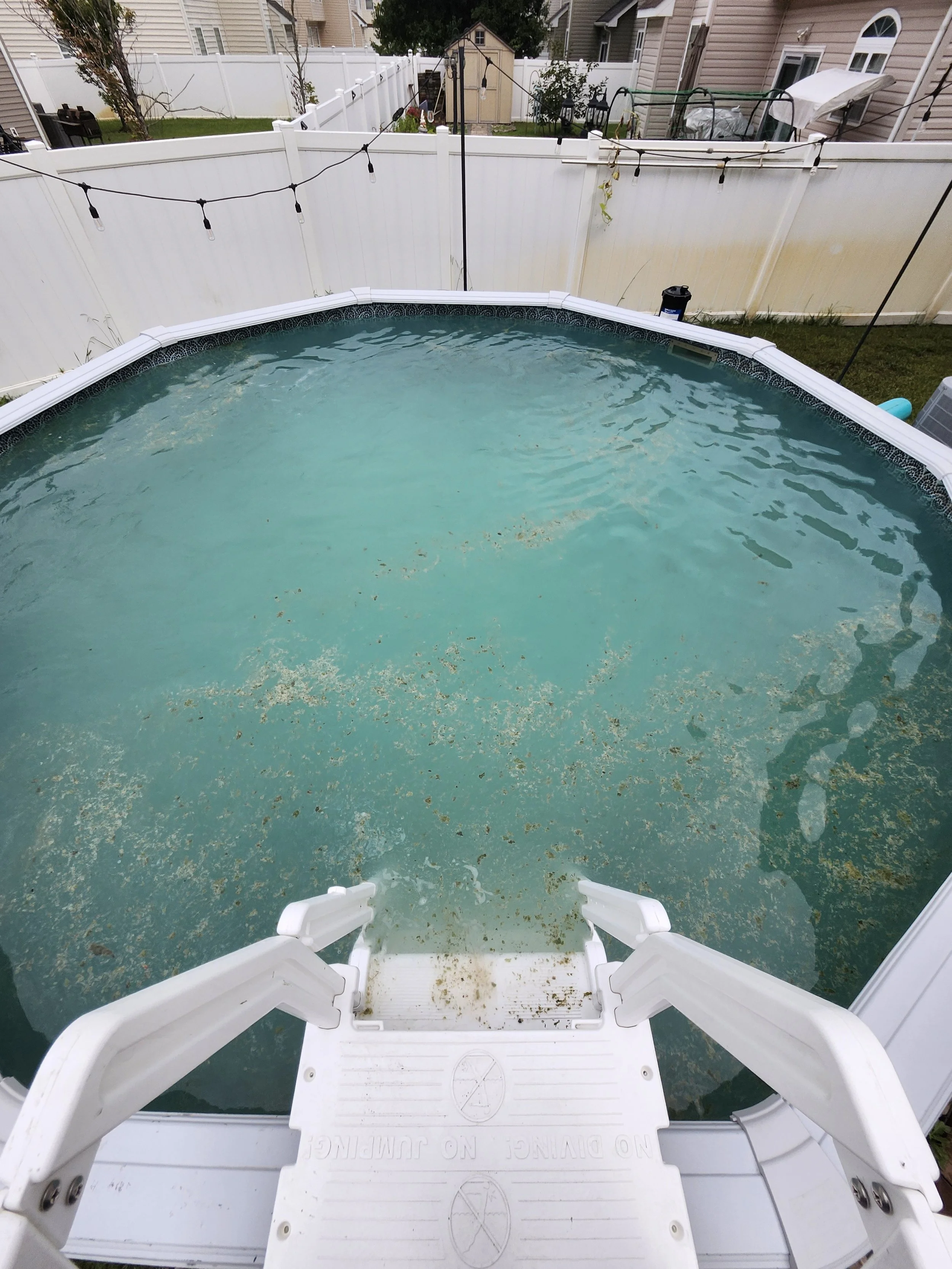 Looking better after adding some liquid chlorine!