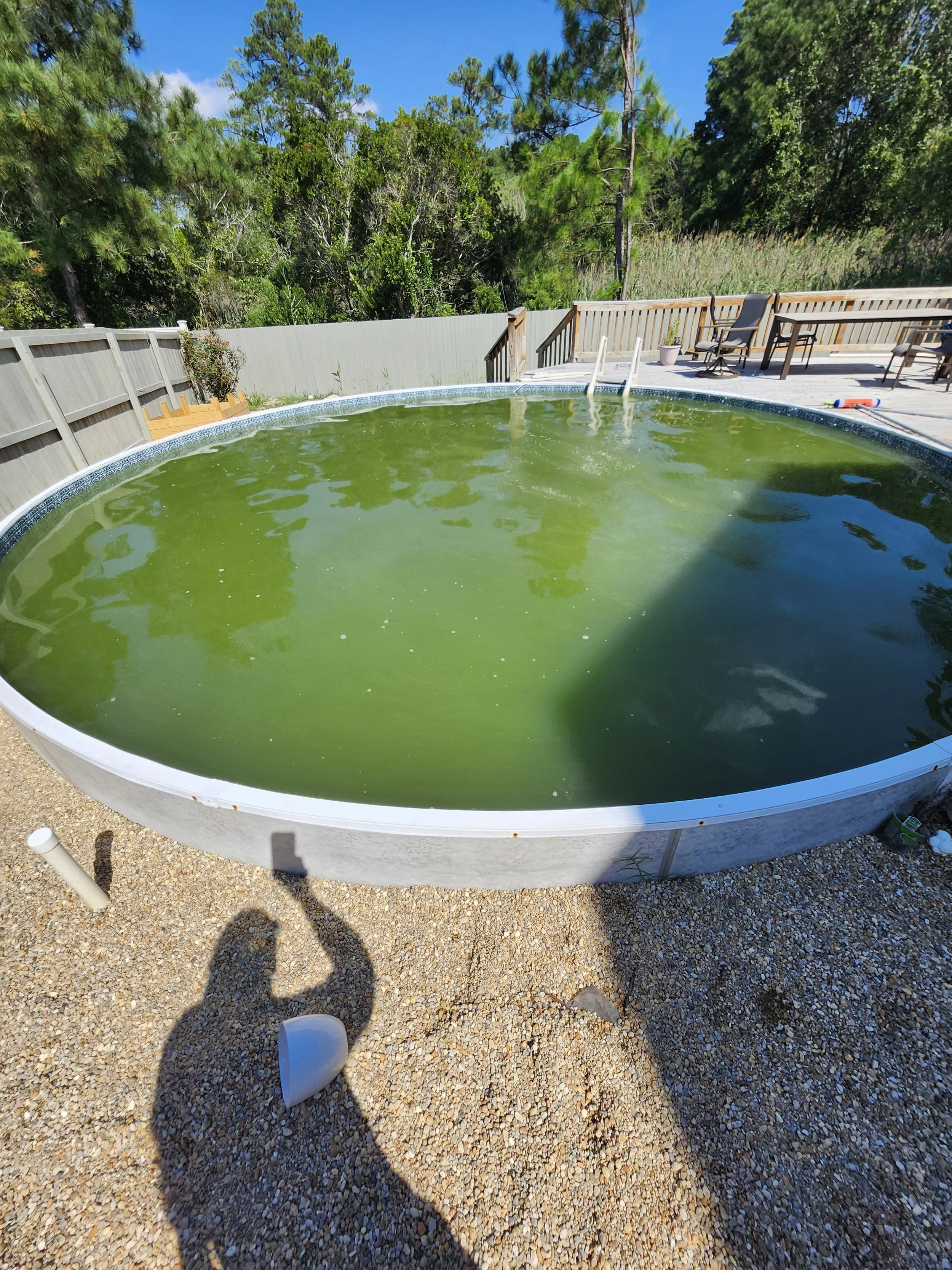 Day 2 we have a nice pea soup color!