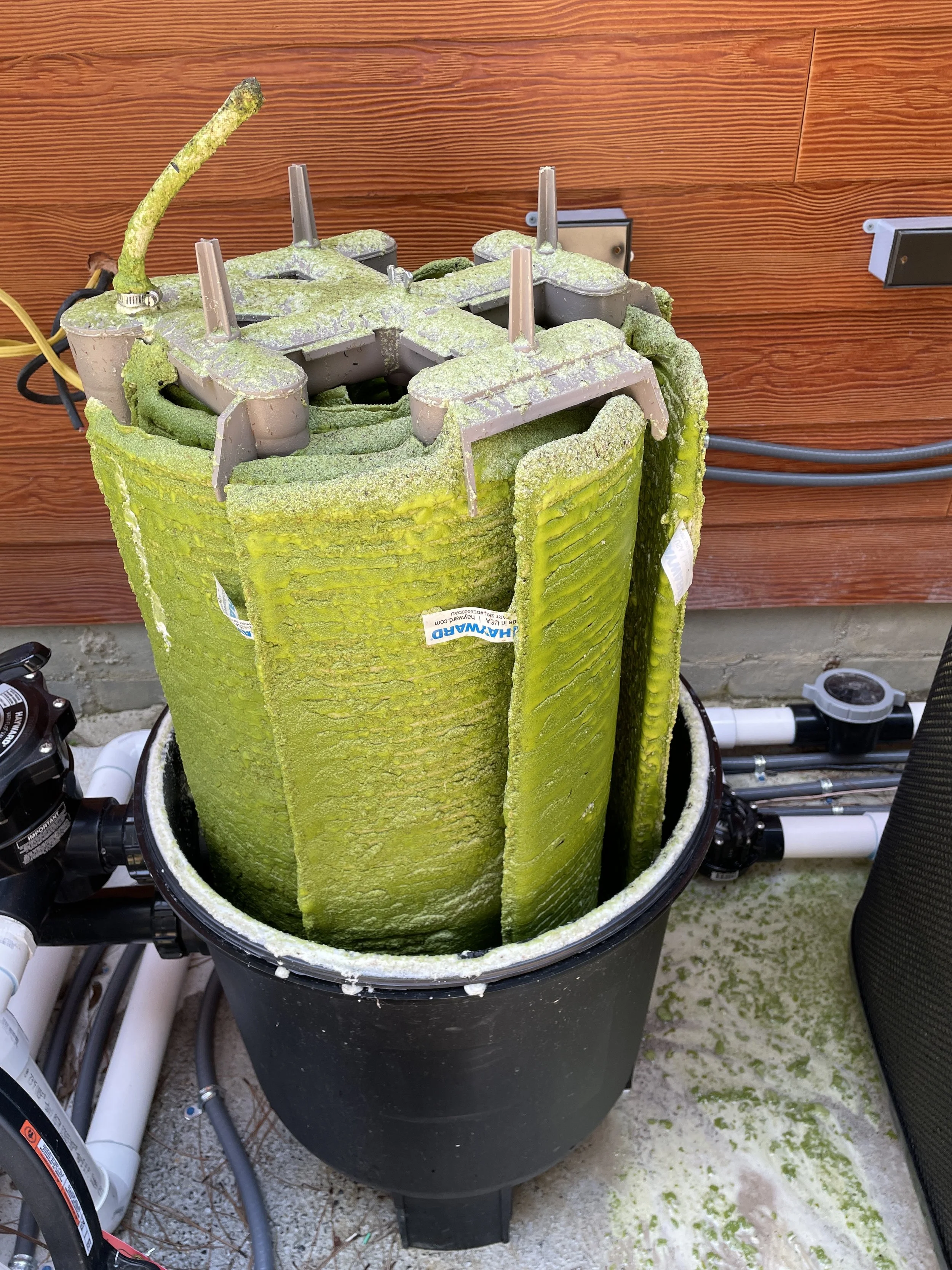Not what you want to see in DE filter!