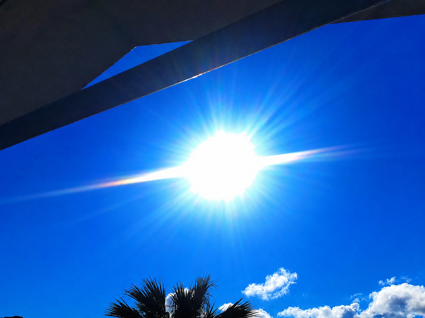 Sun at Jo's.png