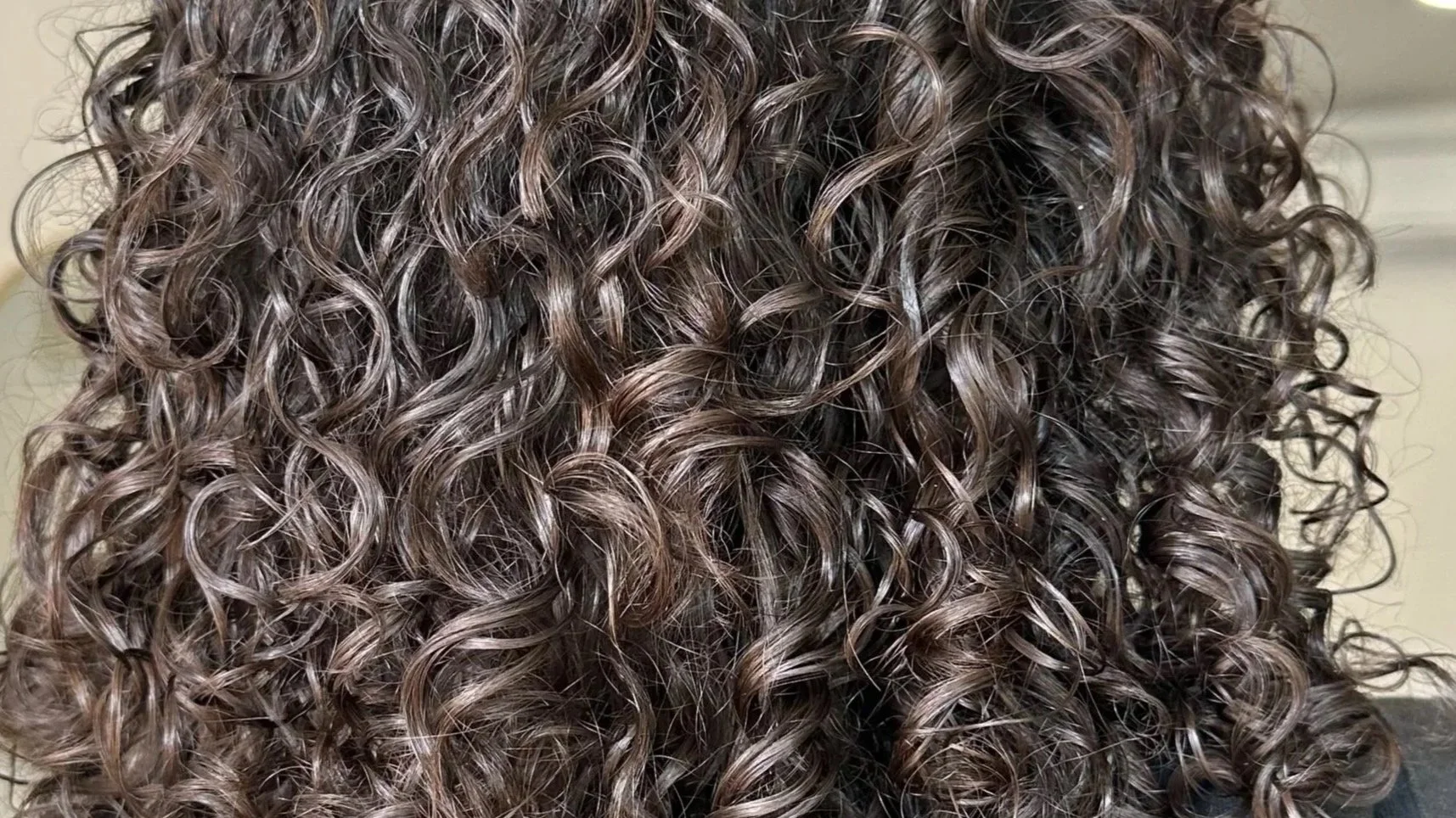 Close-up of dark to light brown tight, curly hair.