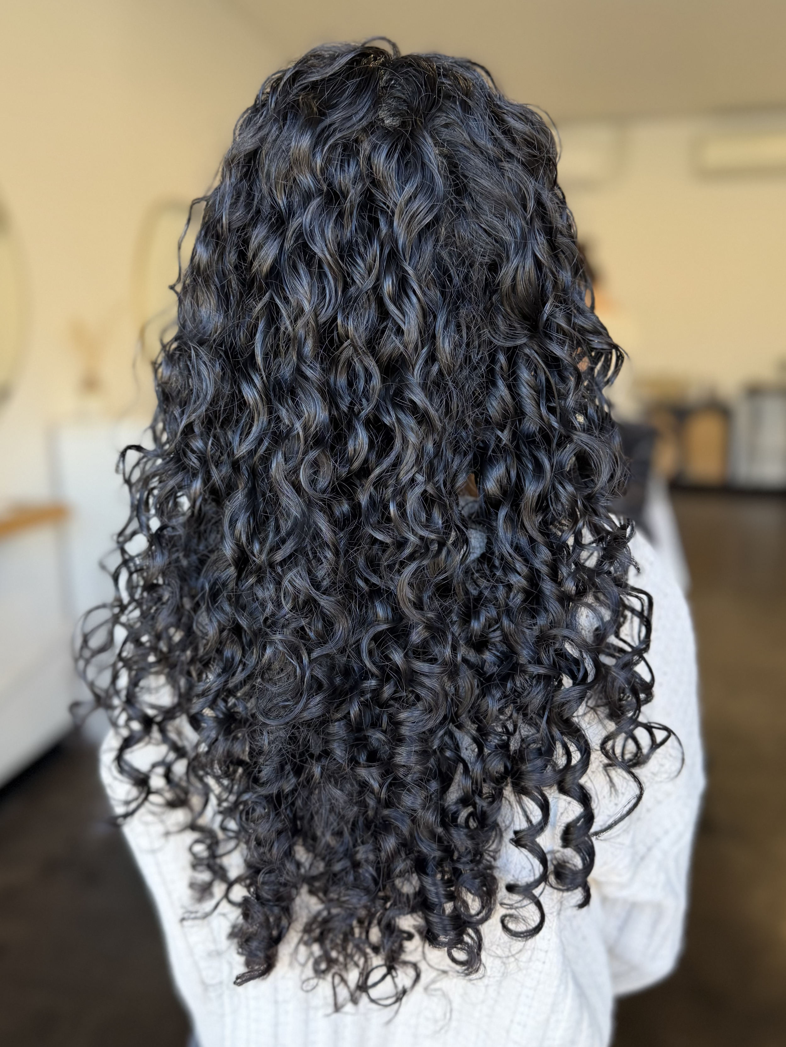 Back view of a person with long, dark, curly hair.