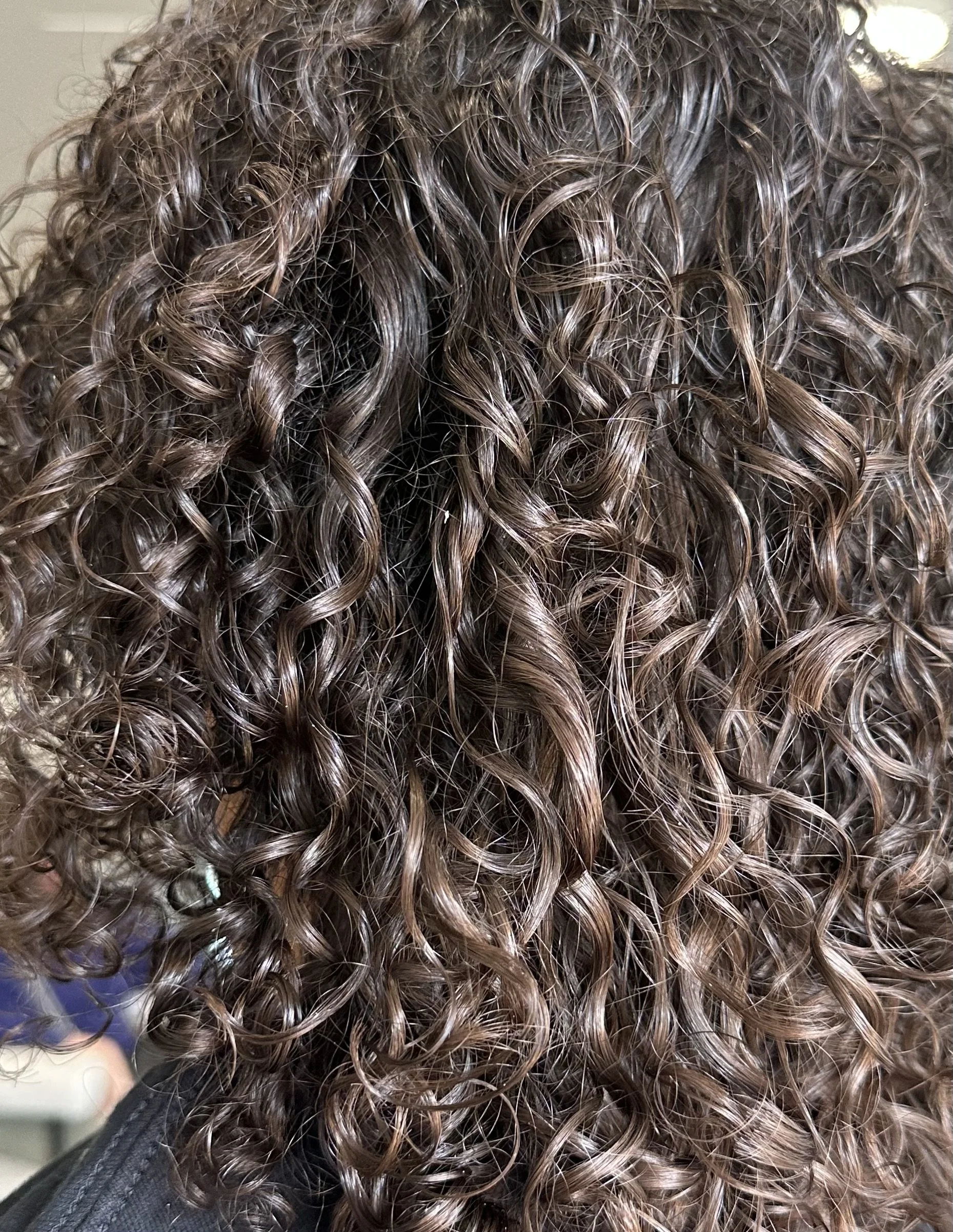 Close-up of tight, curly brown hair with shiny, well-defined ringlets.