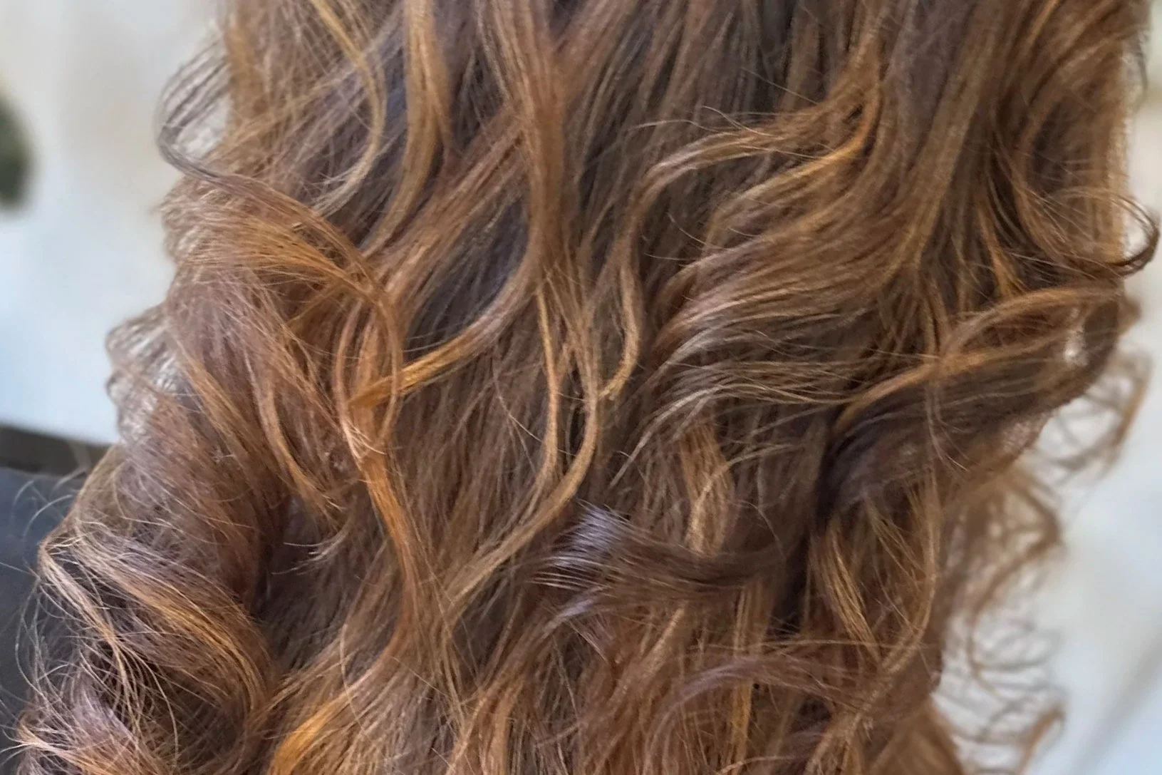 Close-up of curly, auburn hair.