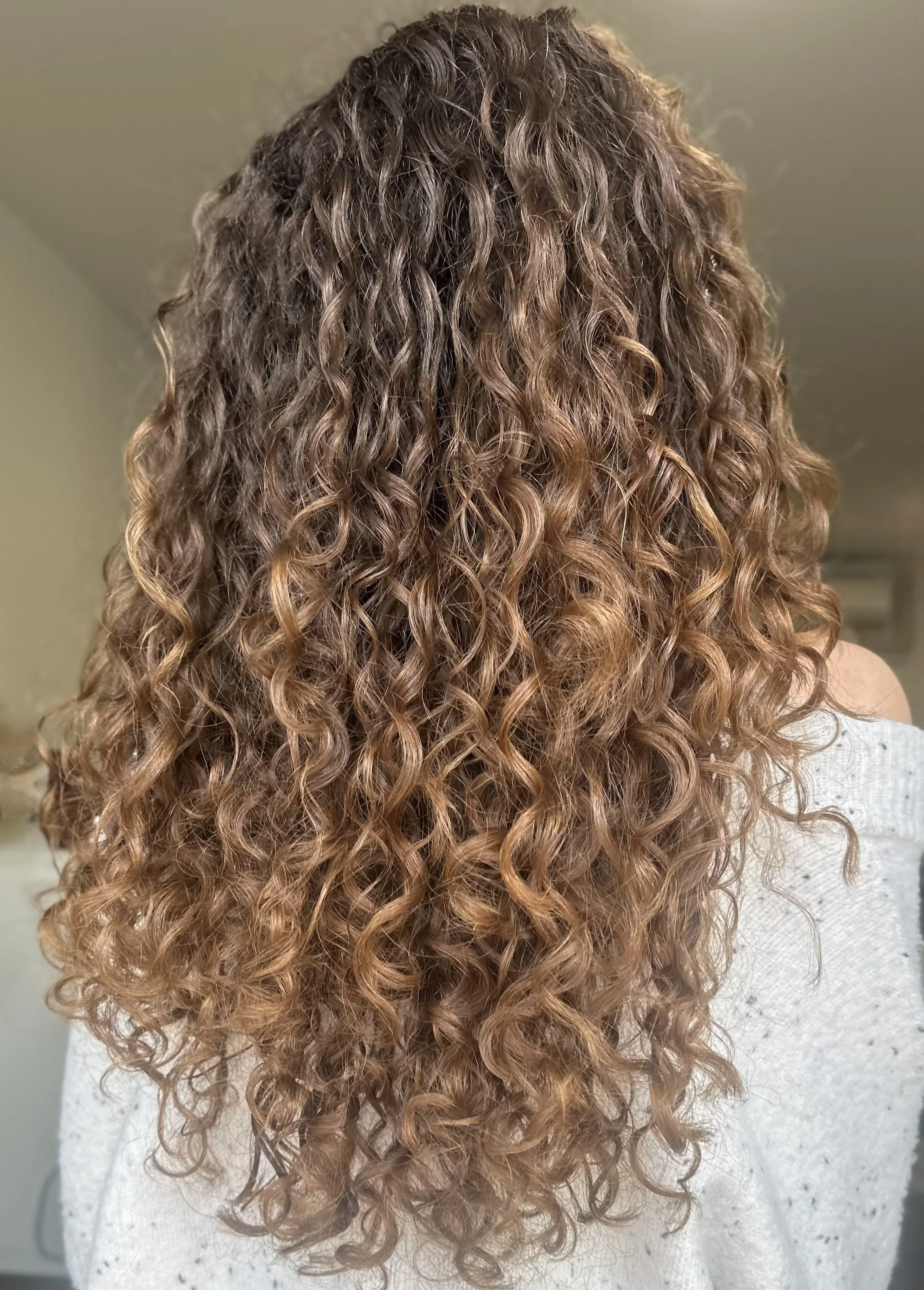 Back view of curly hair with brown and blonde highlights, draped over a person's shoulders.
