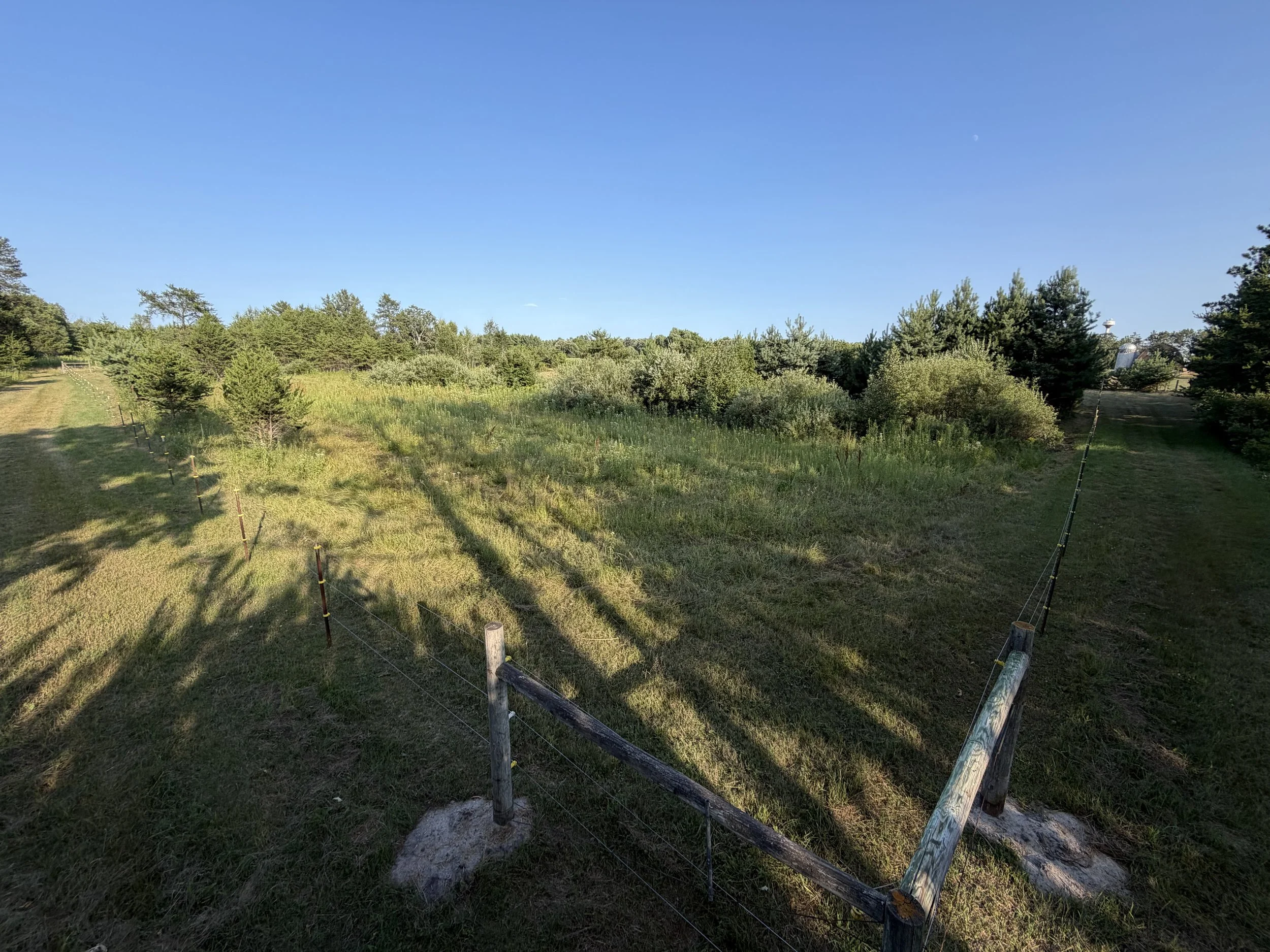 Pasture #3