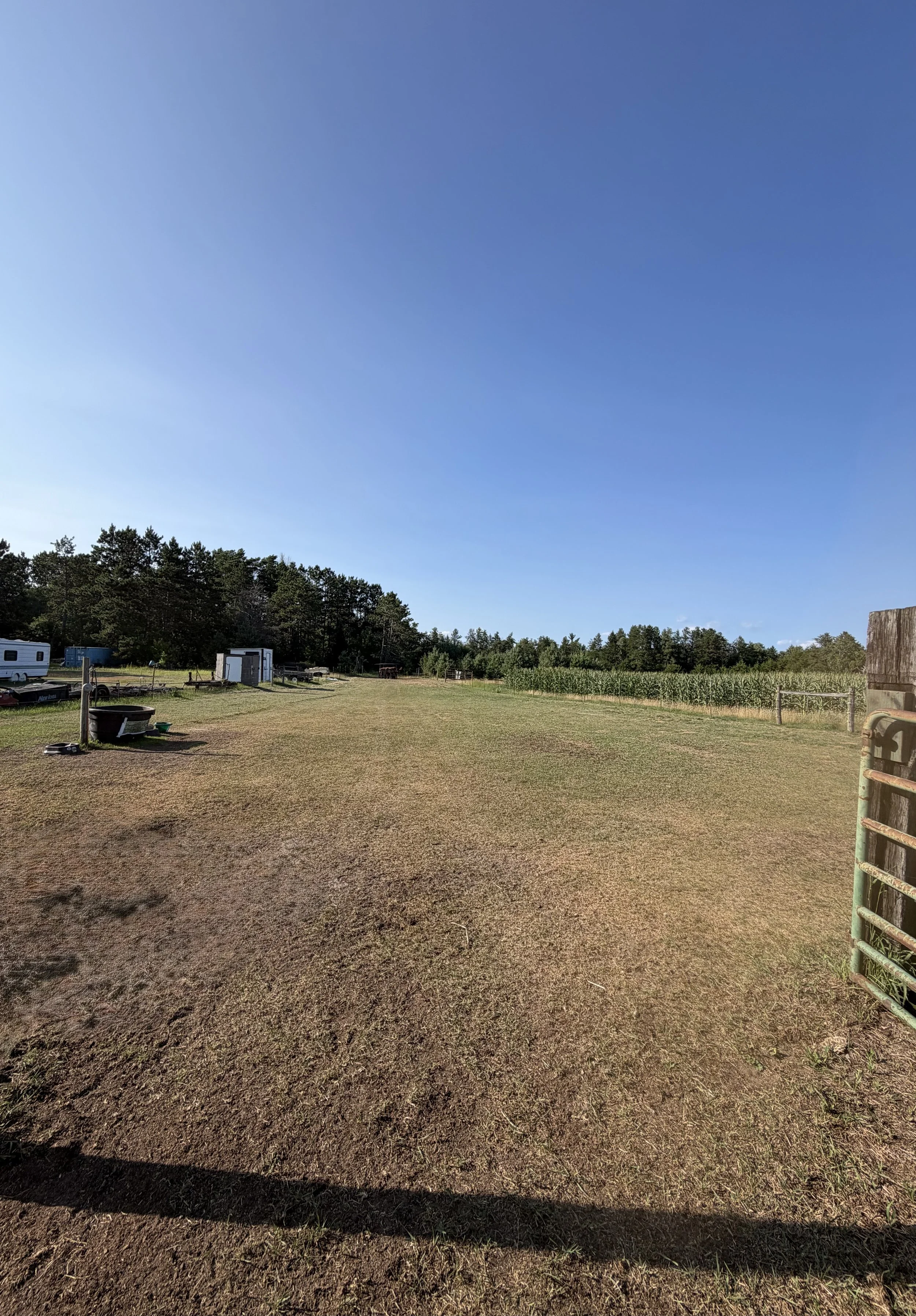 Pasture#2