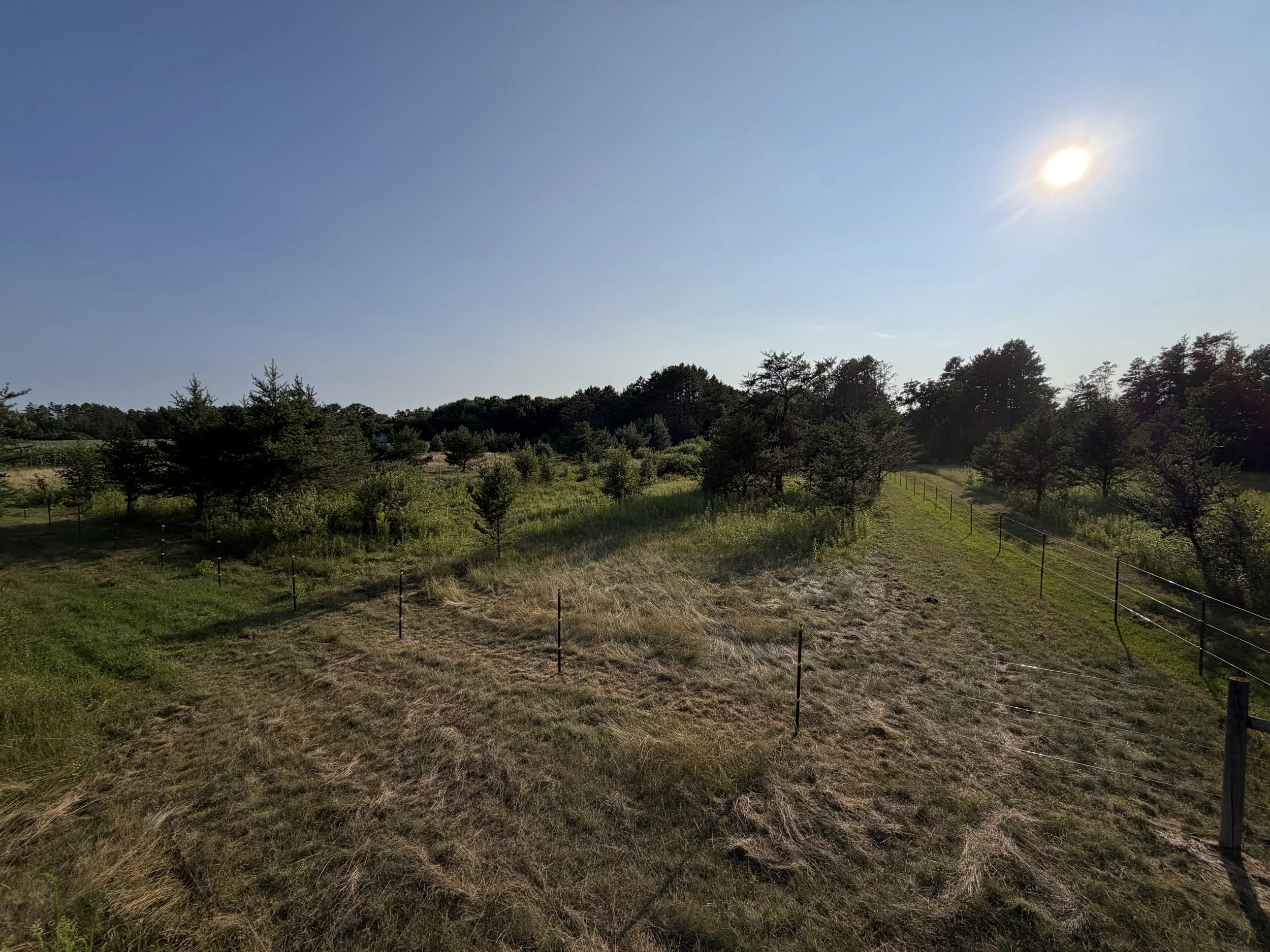 Pasture#3