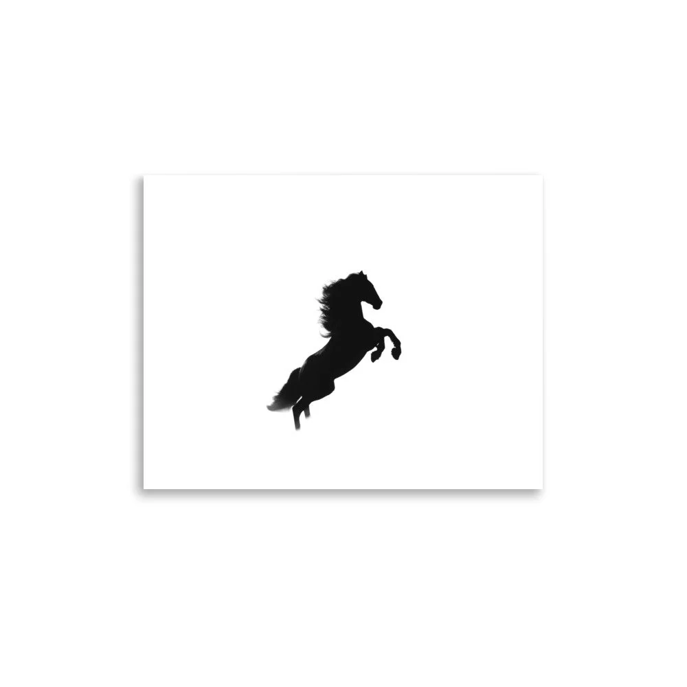 enhanced-matte-paper-poster-(in)-11x14-front-6a3af45c05d4f.jpg