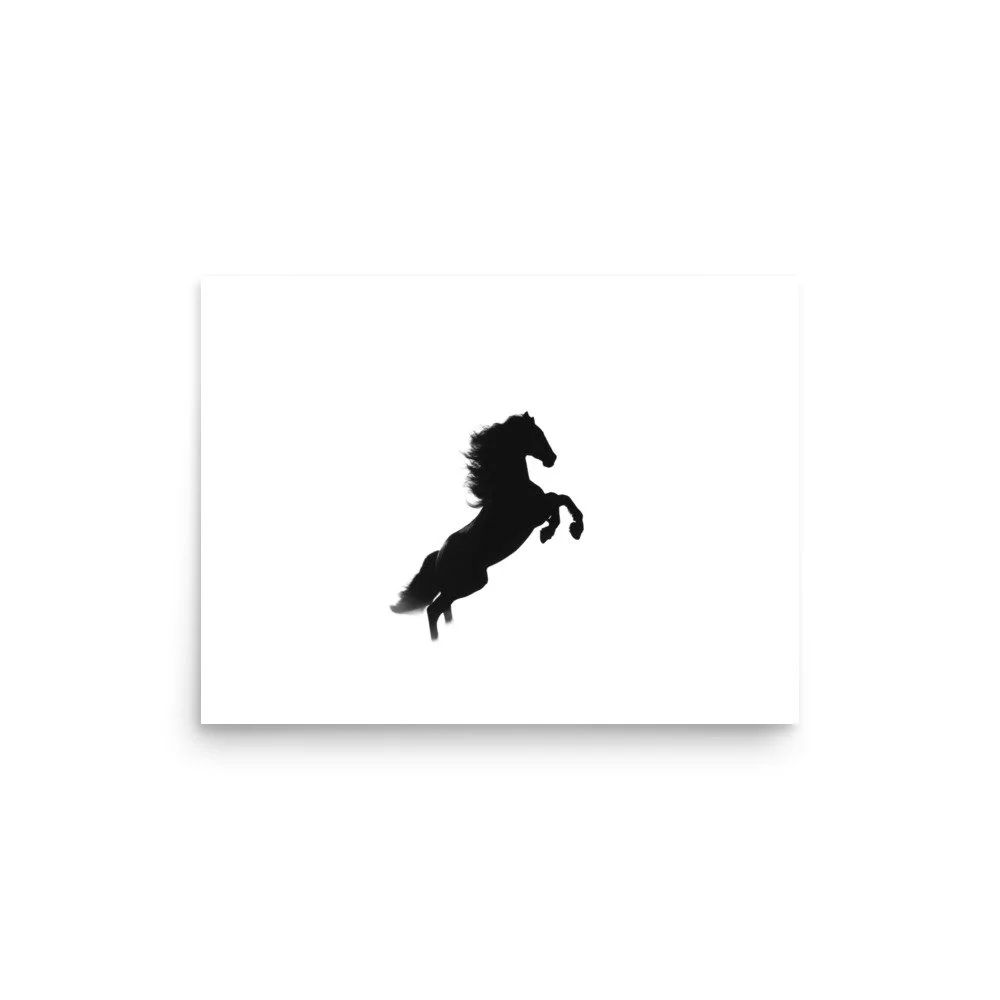 enhanced-matte-paper-poster-(in)-12x16-front-6a3af45c049f7.jpg
