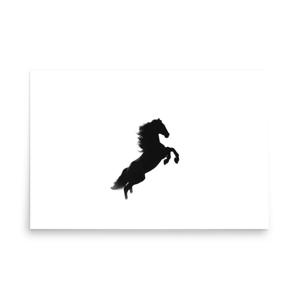 enhanced-matte-paper-poster-(in)-24x36-front-6a3af45c0596e.jpg