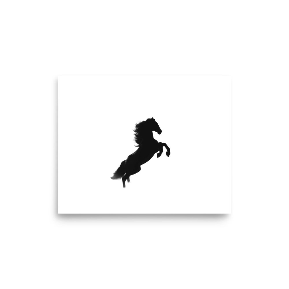 enhanced-matte-paper-poster-(in)-8x10-front-6a3af45c03016.jpg