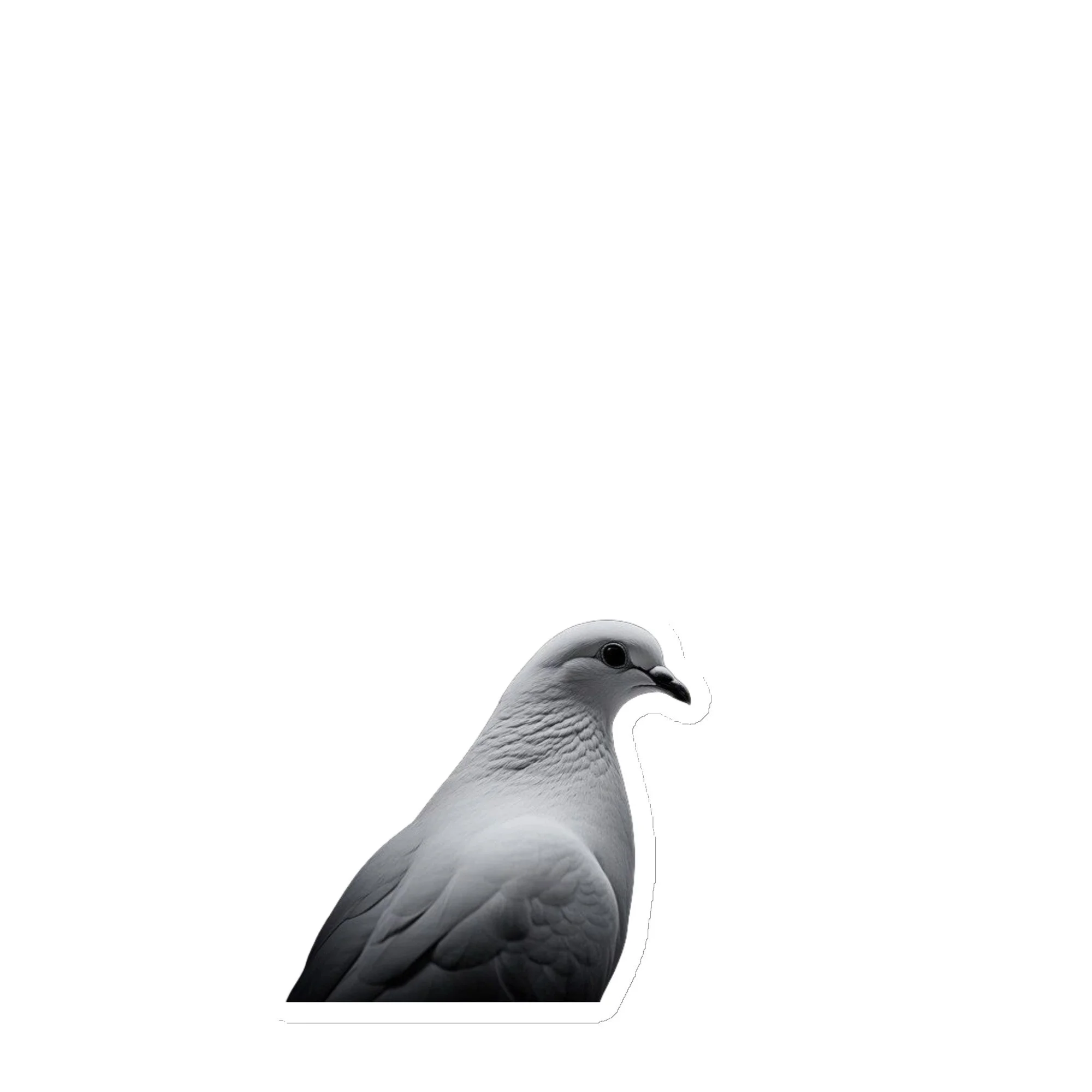 die-cut-magnets-white-6x6-front-6a3ca791f2275.jpg